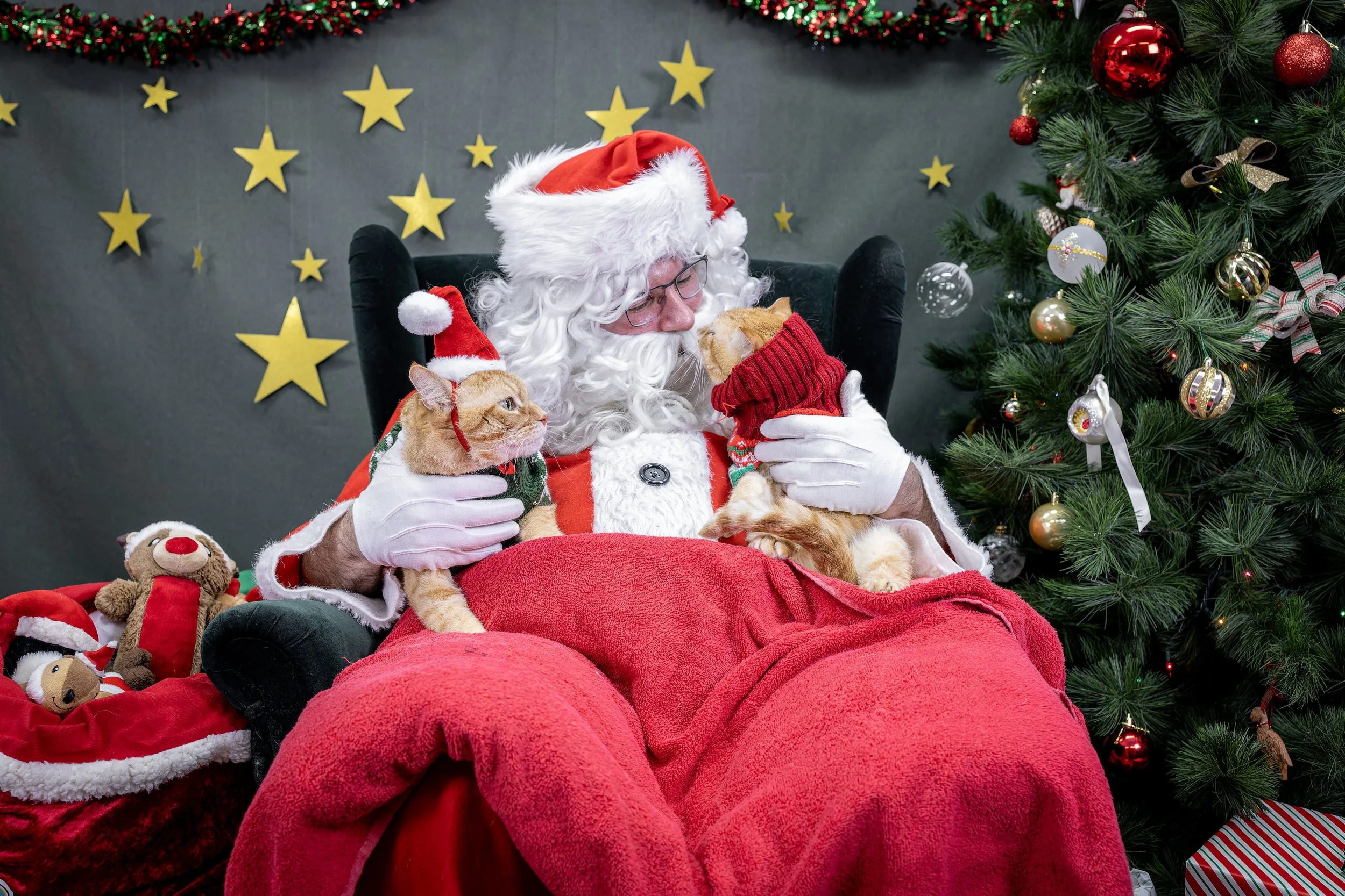 120725_PAWTeam_SantaPaws-048.jpg