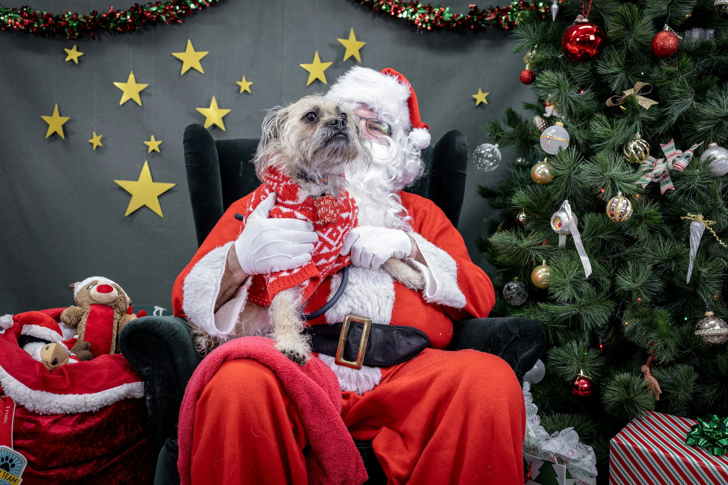 120725_PAWTeam_SantaPaws-050.jpg