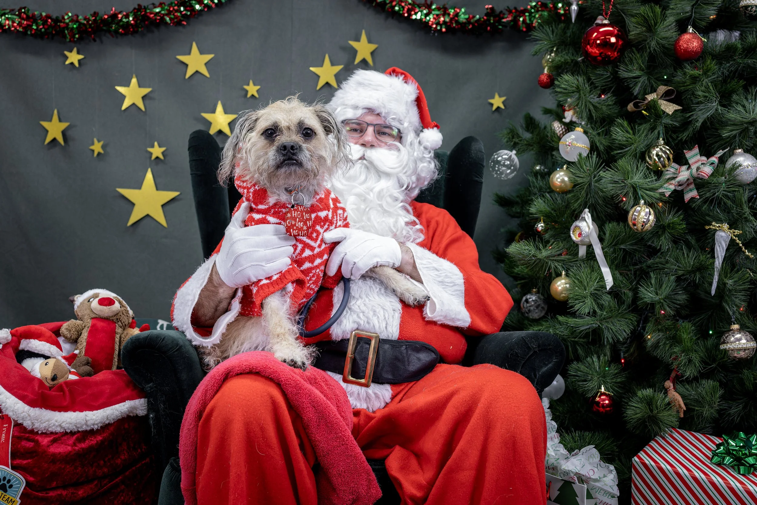 120725_PAWTeam_SantaPaws-051.jpg
