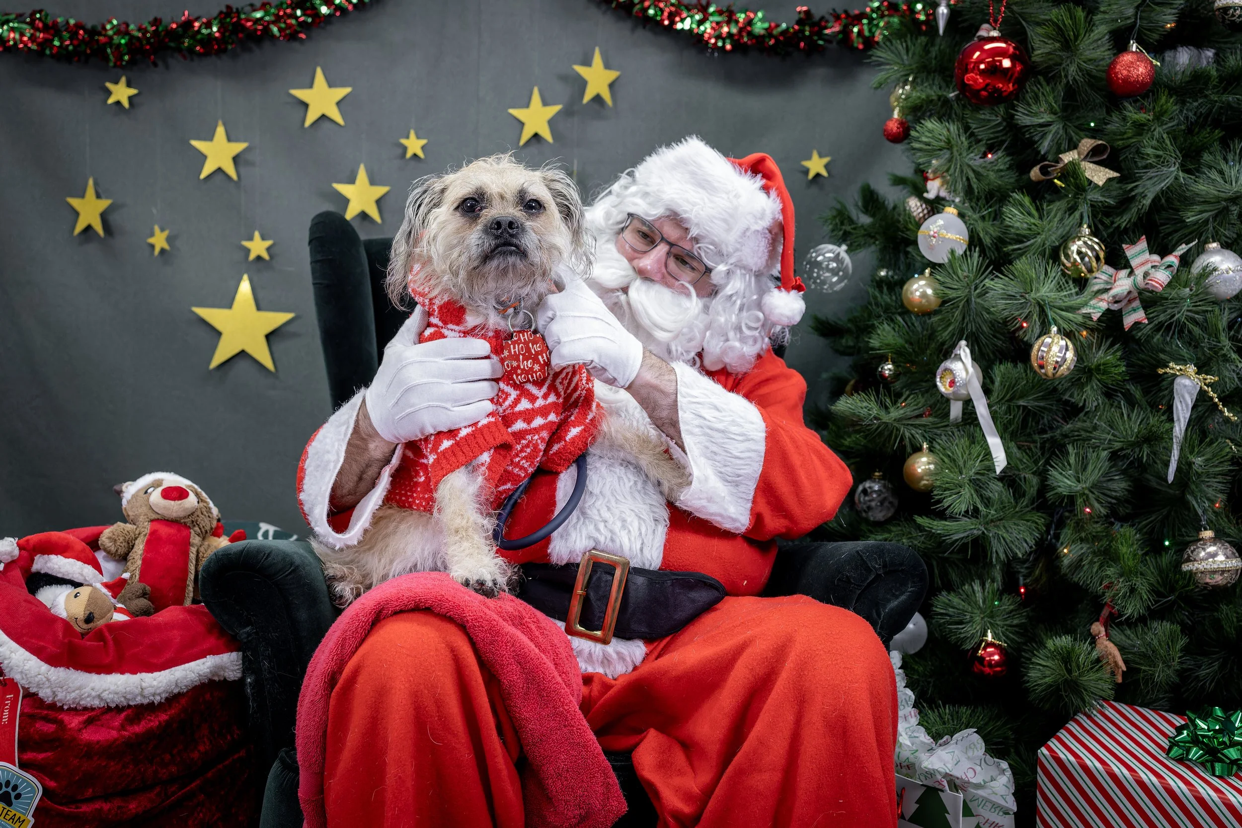 120725_PAWTeam_SantaPaws-052.jpg