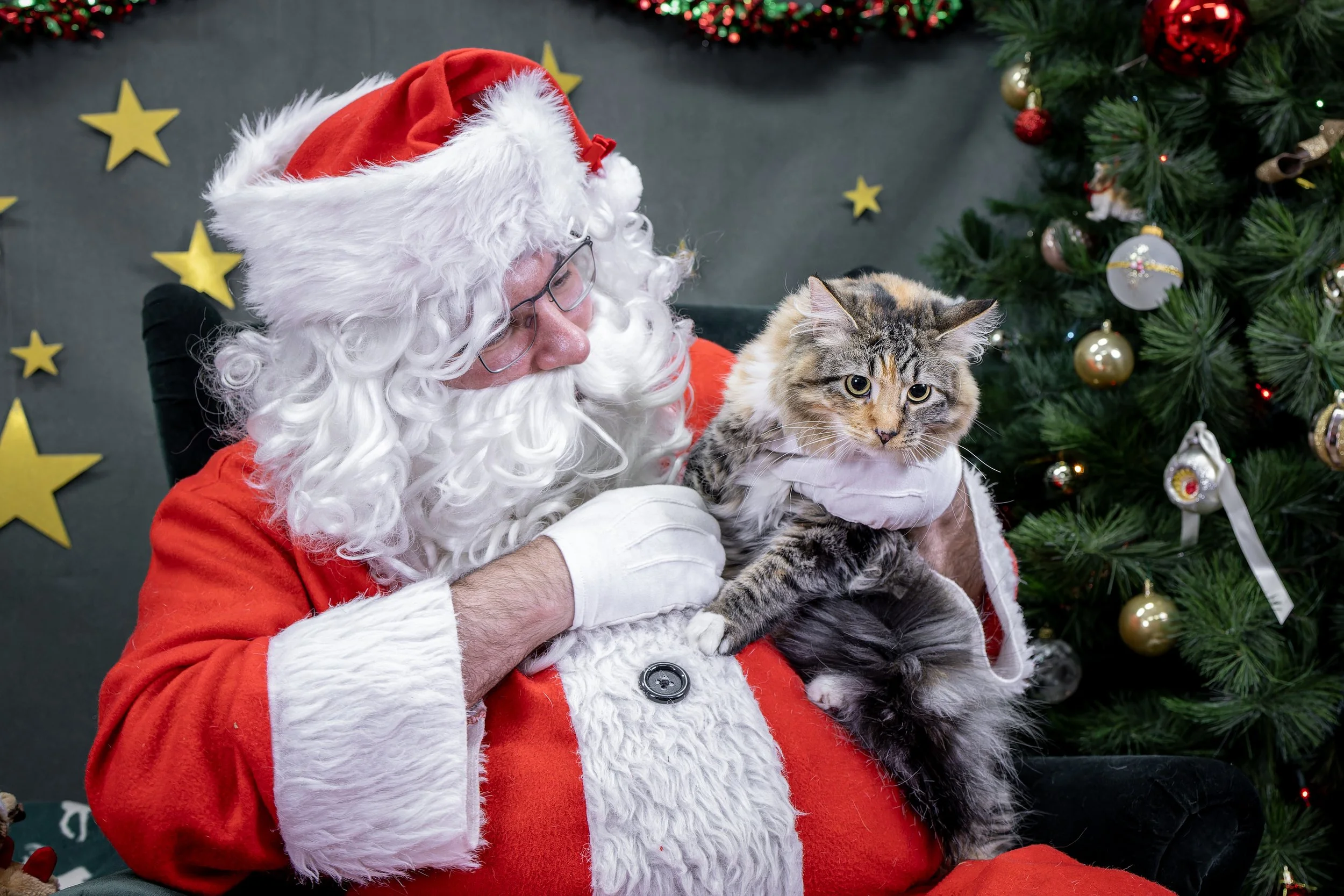 120725_PAWTeam_SantaPaws-055.jpg