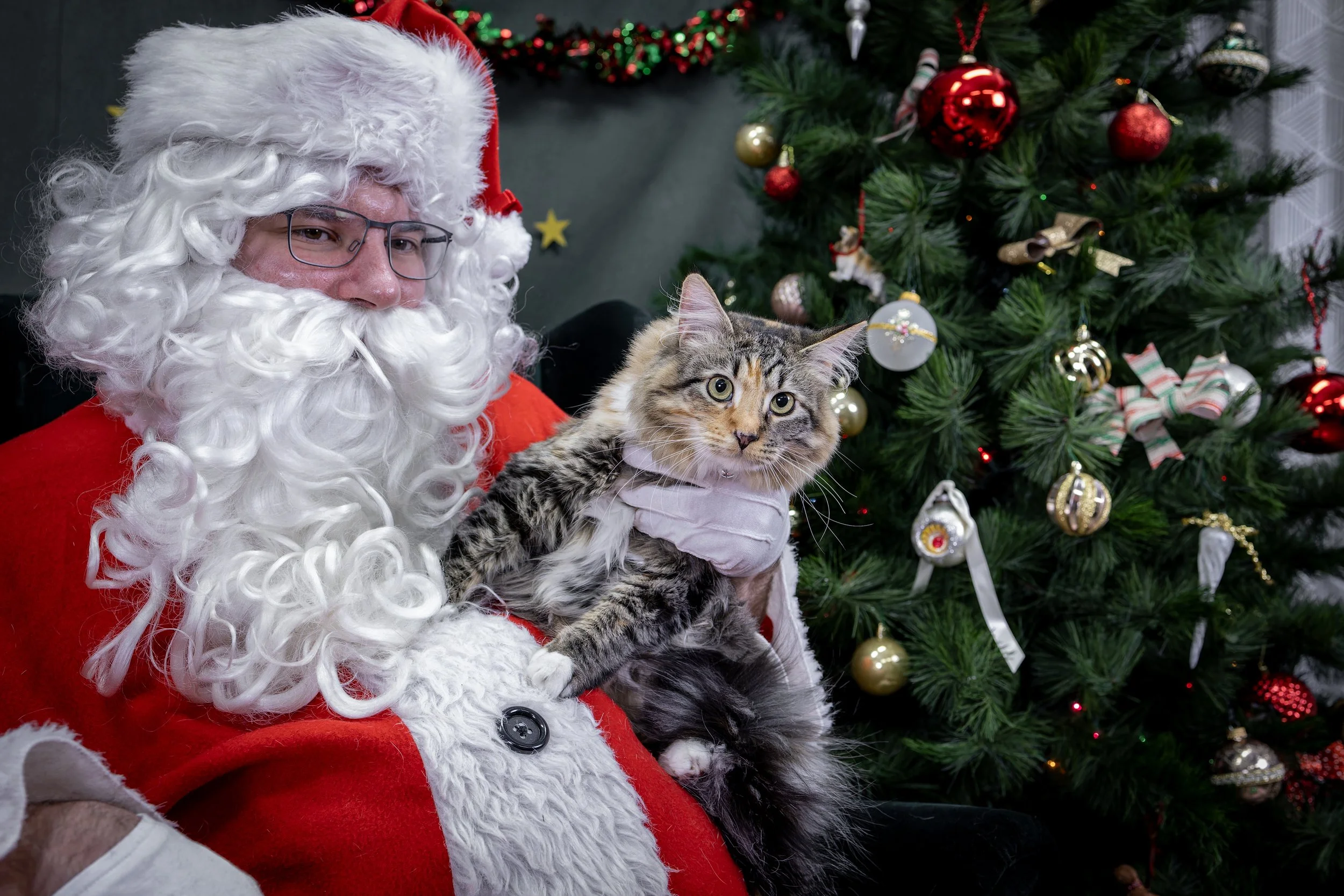 120725_PAWTeam_SantaPaws-056.jpg