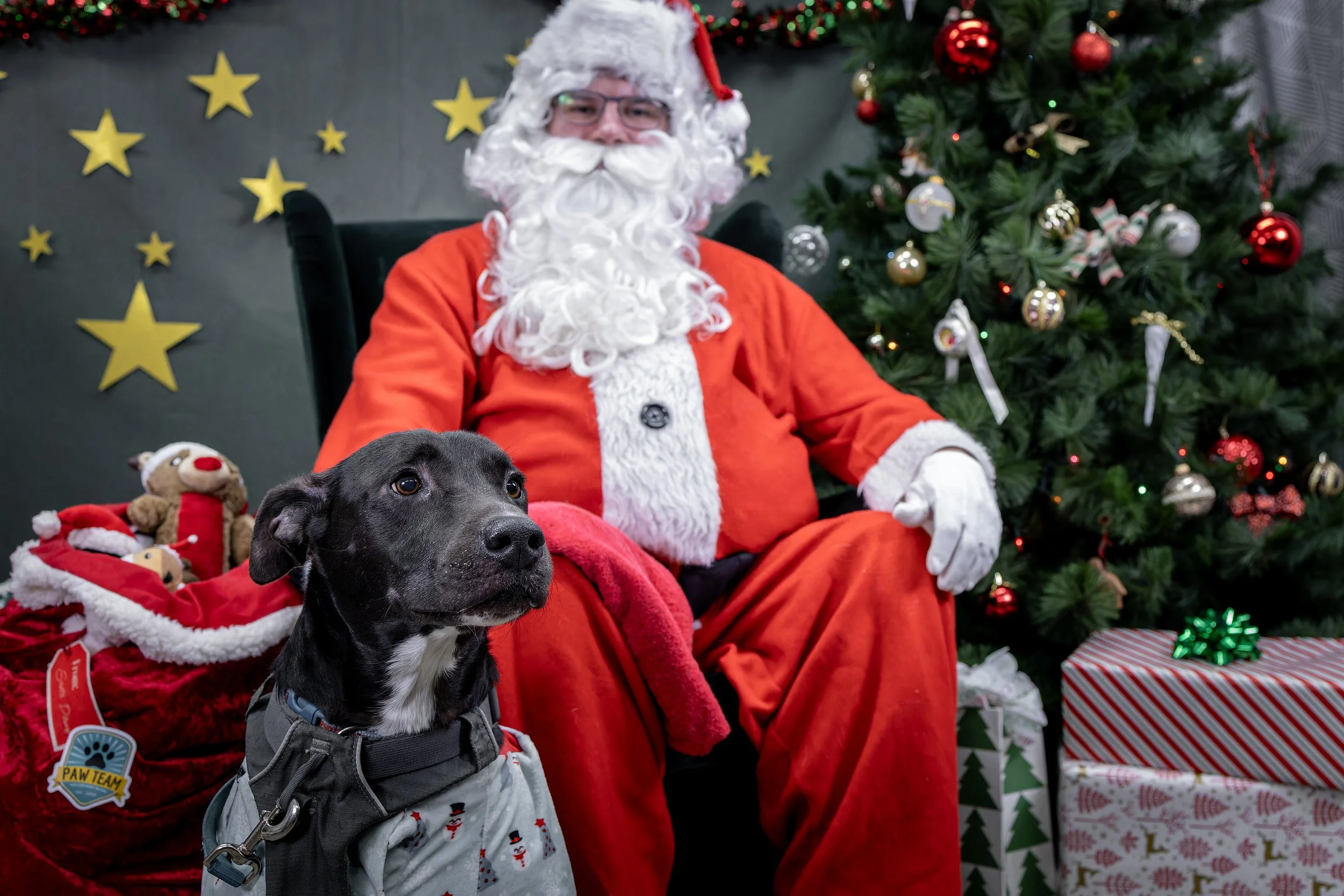 120725_PAWTeam_SantaPaws-059.jpg