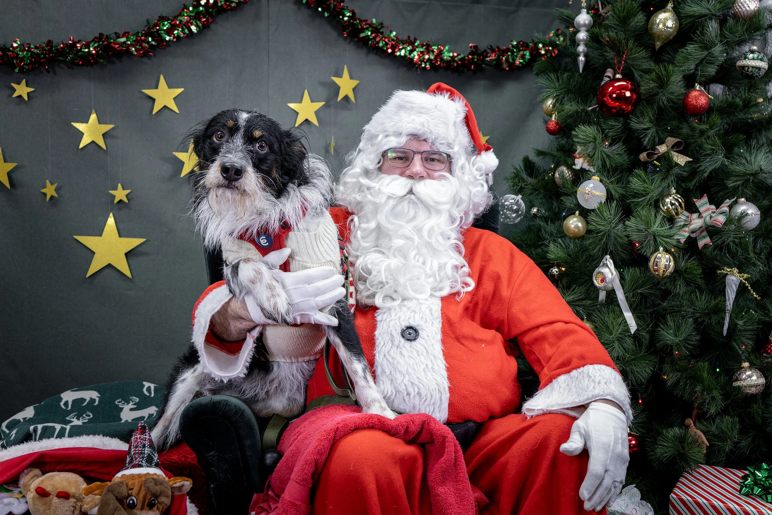 120725_PAWTeam_SantaPaws-061.jpg