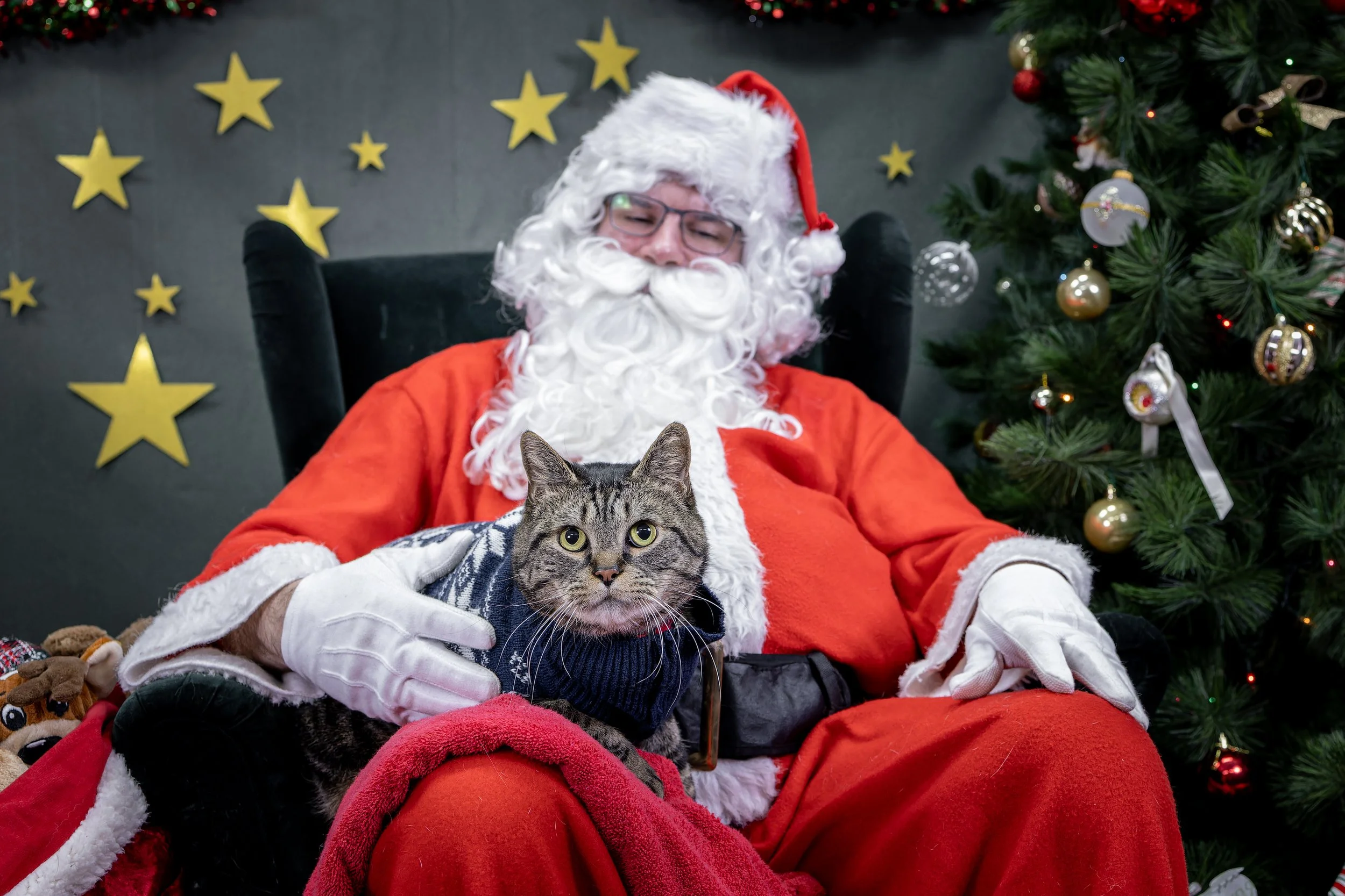120725_PAWTeam_SantaPaws-064.jpg