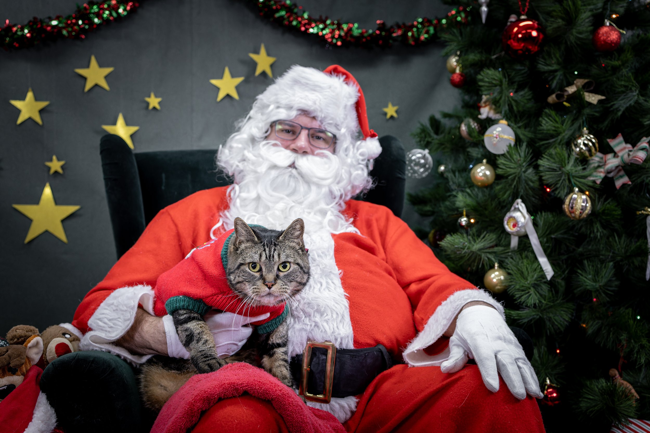 120725_PAWTeam_SantaPaws-065.jpg