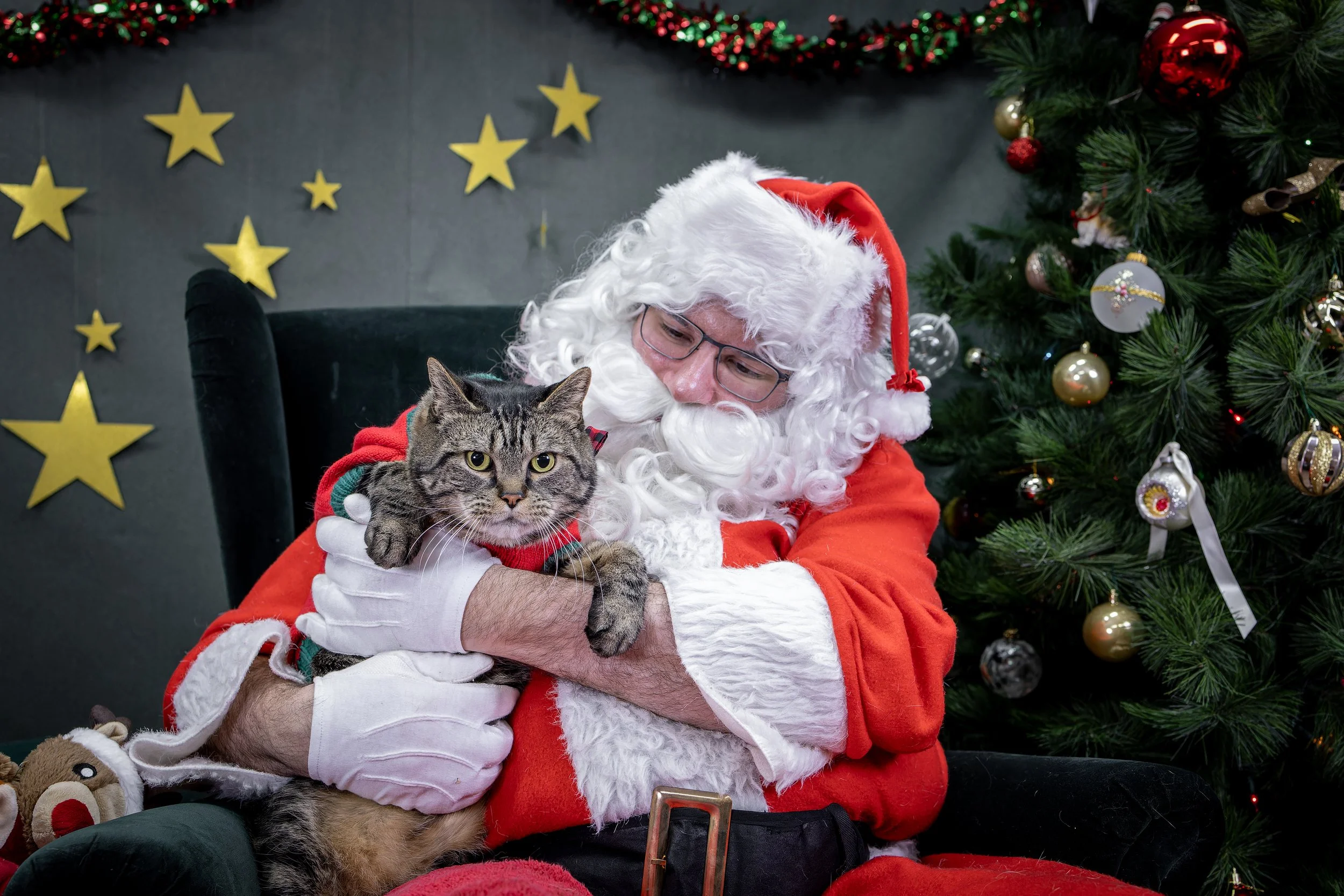 120725_PAWTeam_SantaPaws-066.jpg