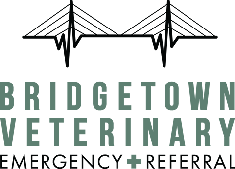 bridgetown-veterinary-emergency-referral.png