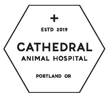 cathedral animal hosp.jpg