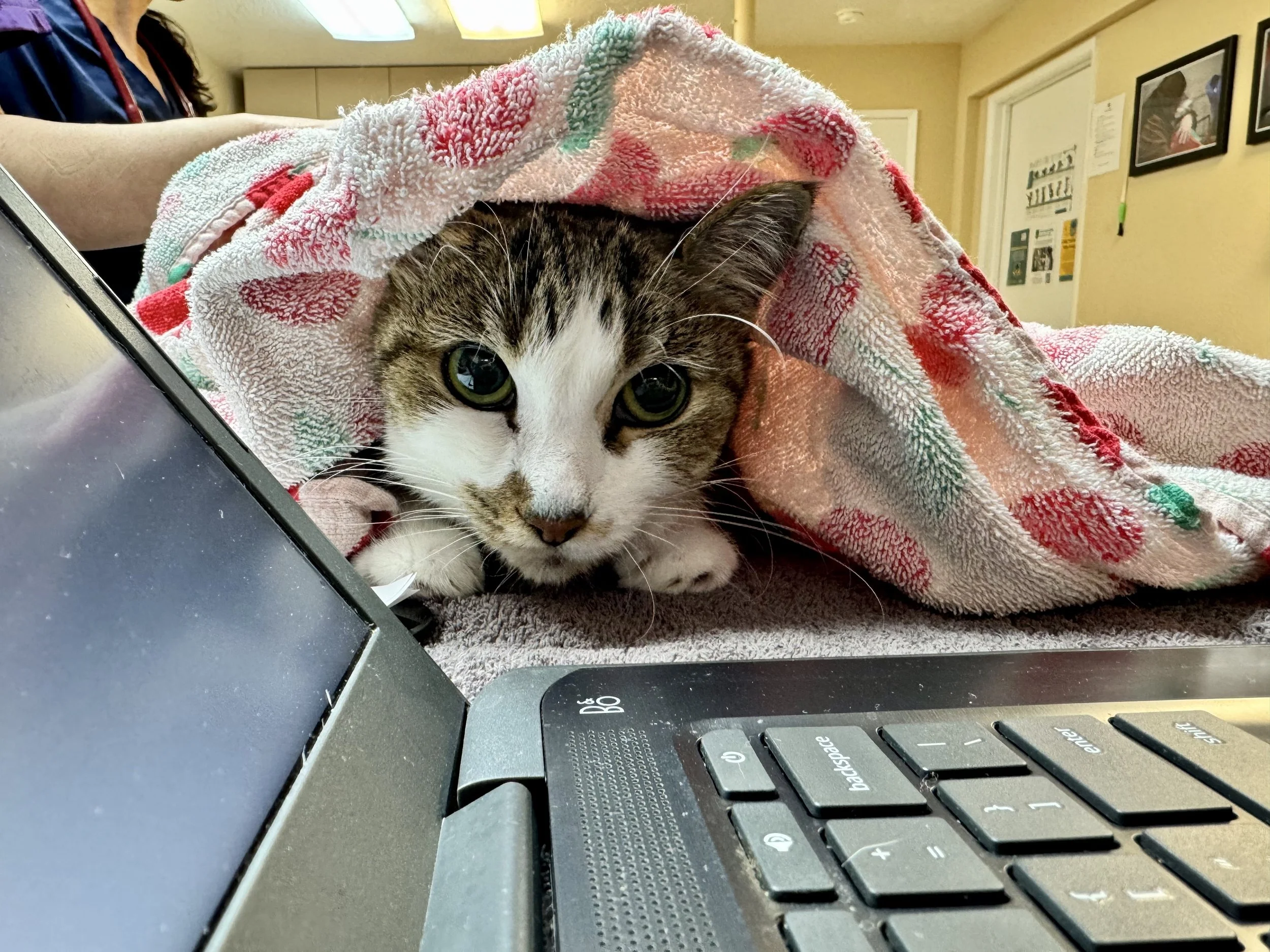 FullSizeRender (5).jpeg