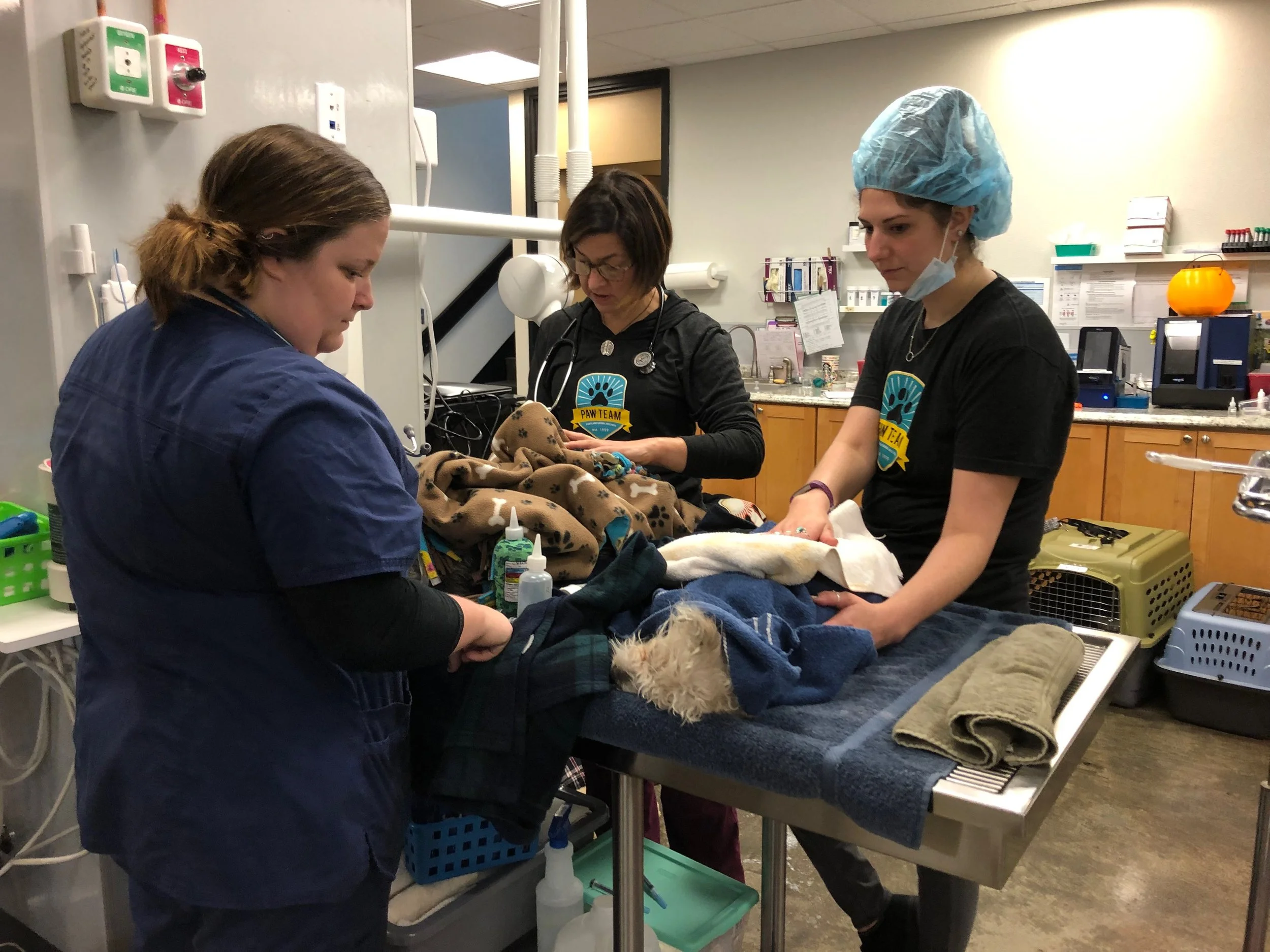 Anna, Dr Williams, Simone recovery.JPG