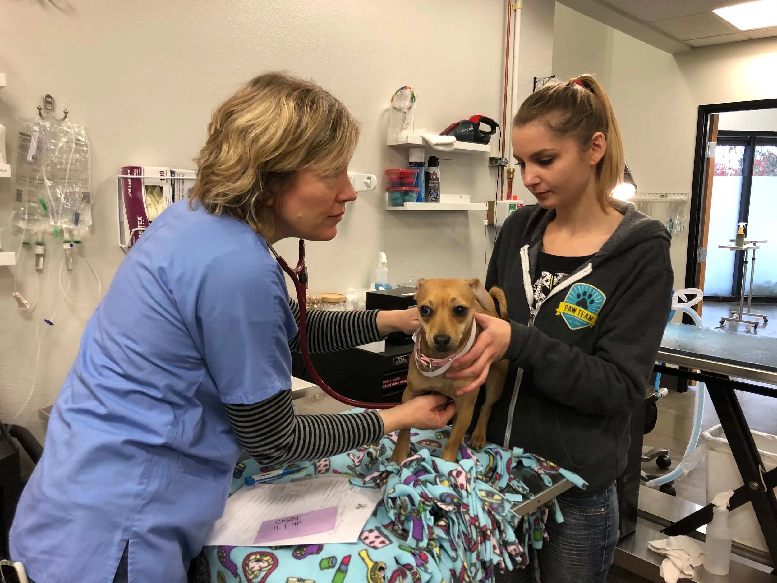 Wixson Amy Cindy.JPG