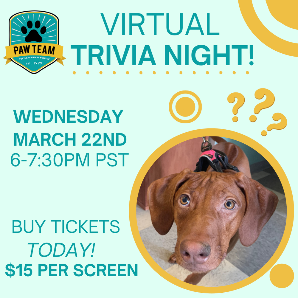 PAW Team's Virtual Trivia Night! — Portland Animal Welfare Team