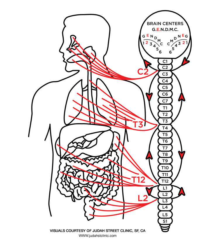 Zone Therapy Body Chart