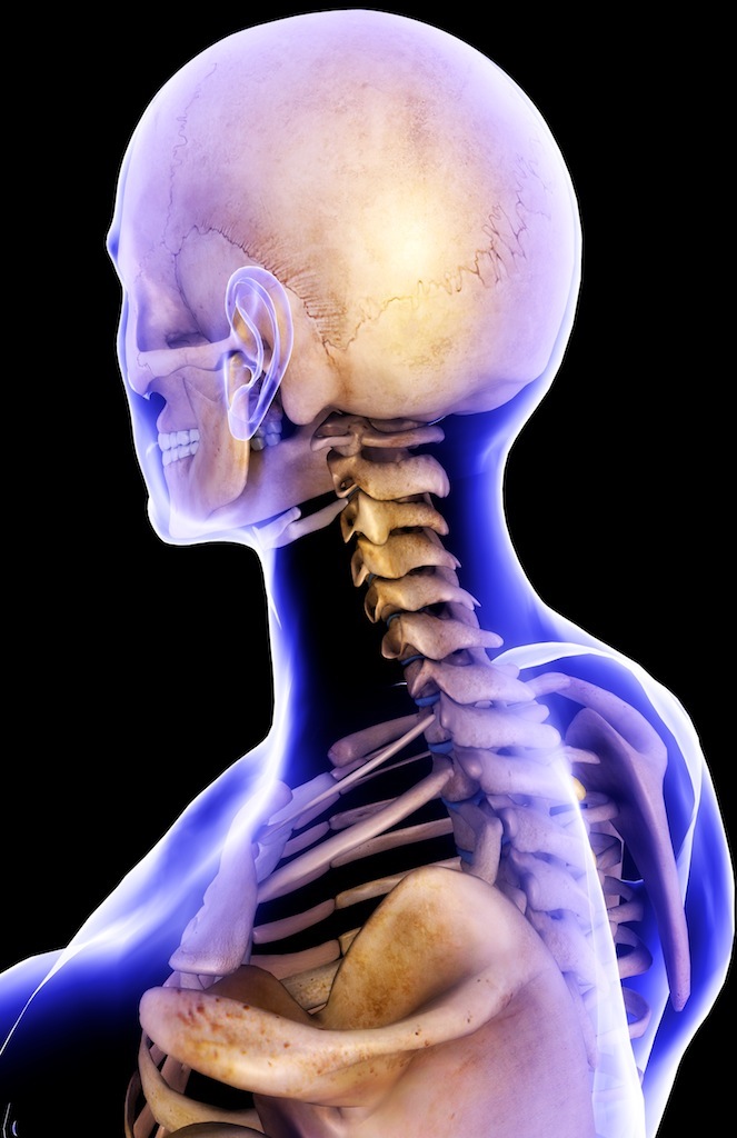 The truth about posture