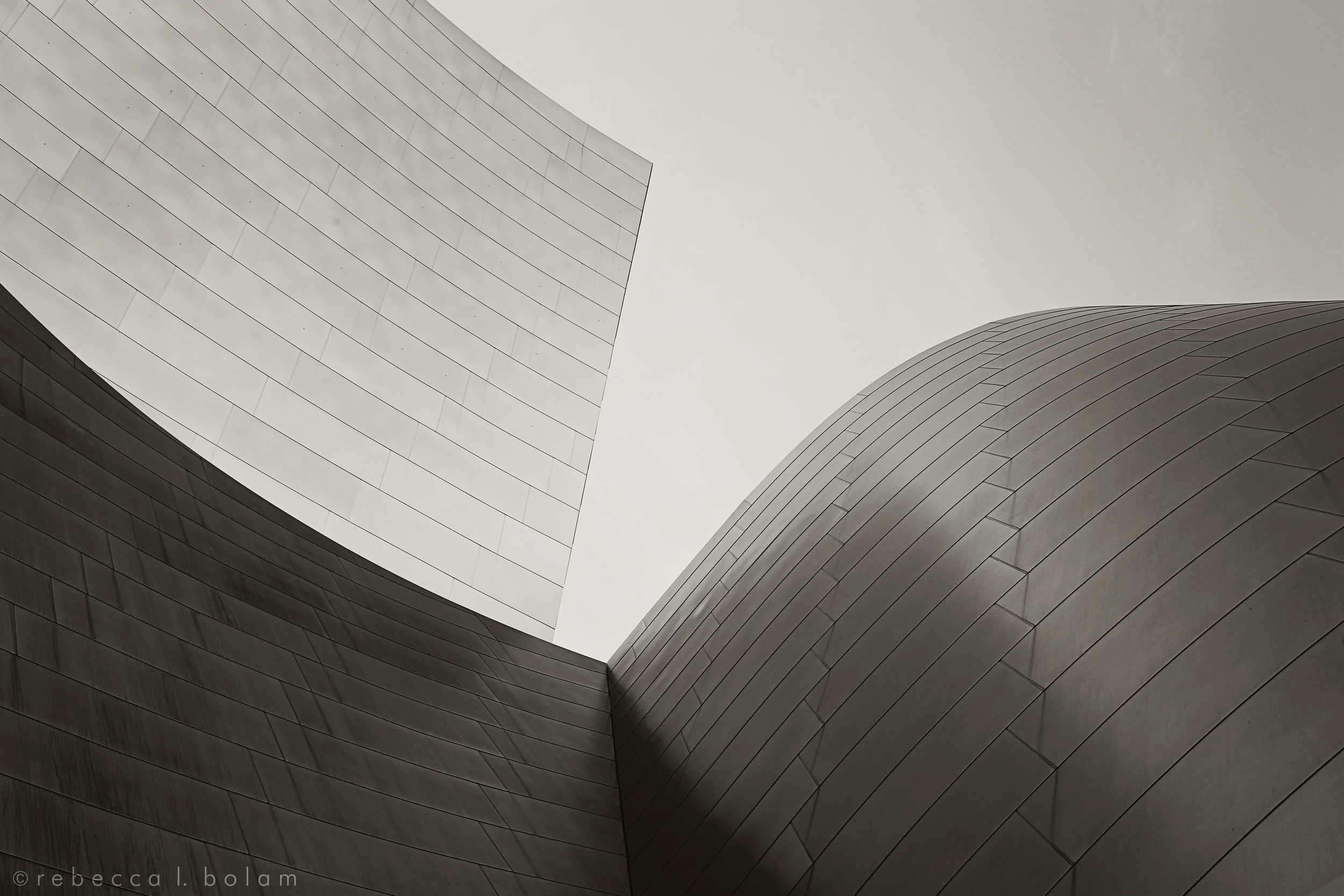 Grey Gehry Curves.jpg