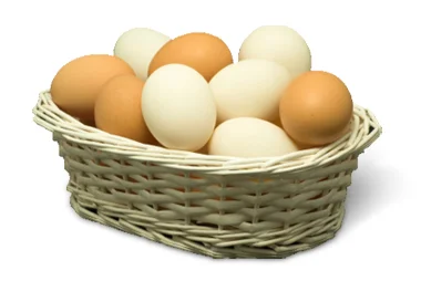 Diversification is Key - Why You Should Never Put Your Eggs in One Basket