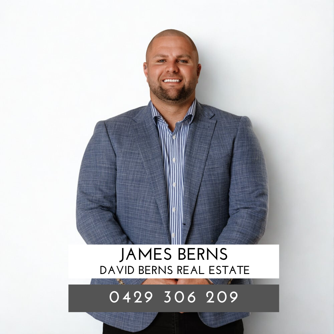 David Berns Real Estate