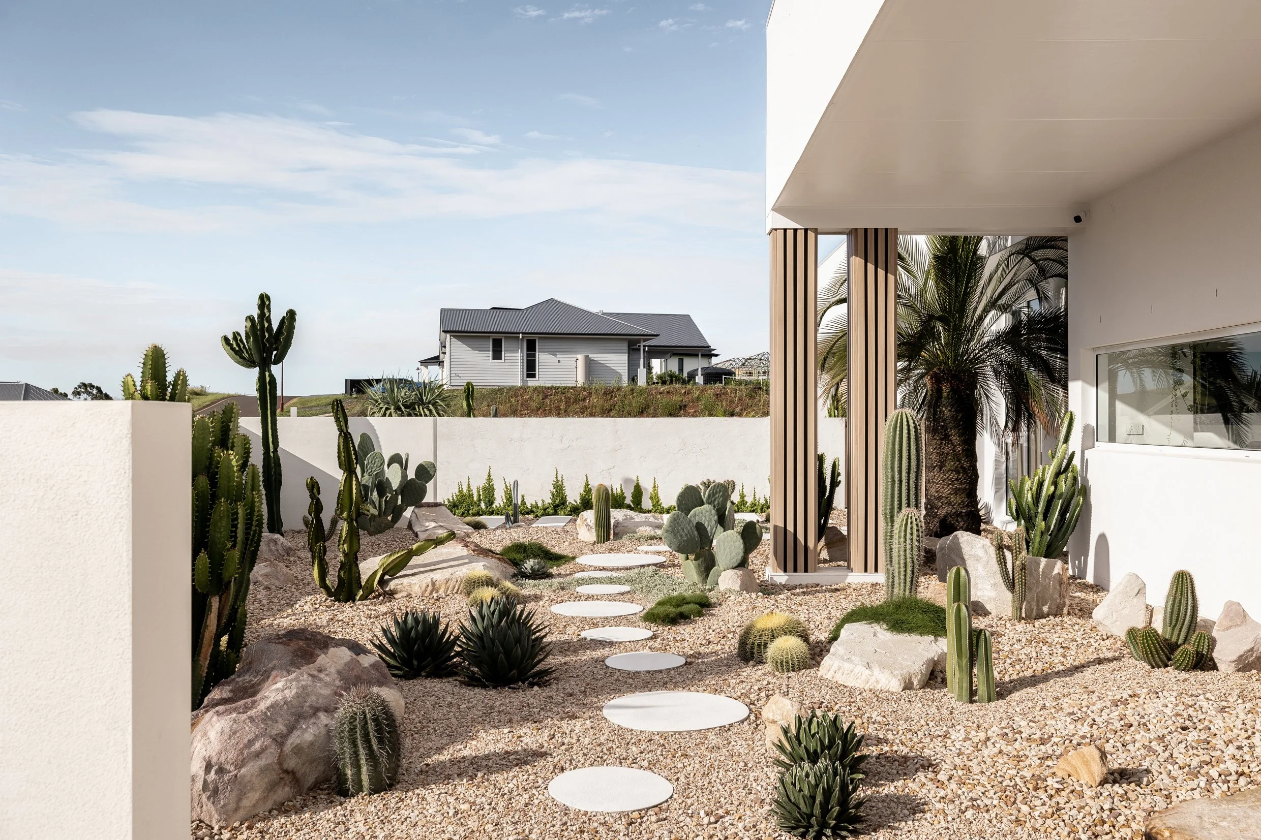 SAGUARO-150.jpg