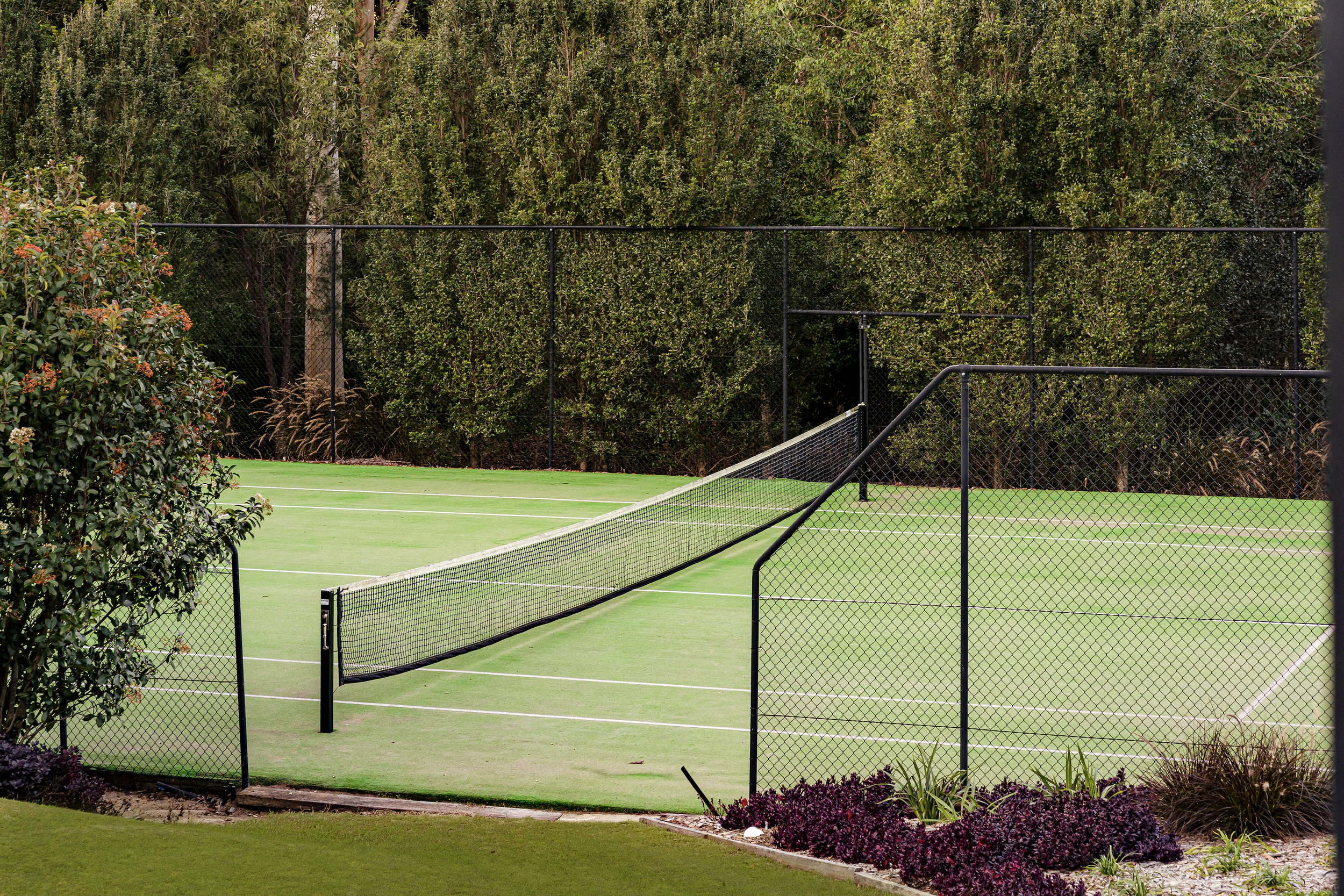 Screen Shot 2023-06-20 at 8.56.34 am.png