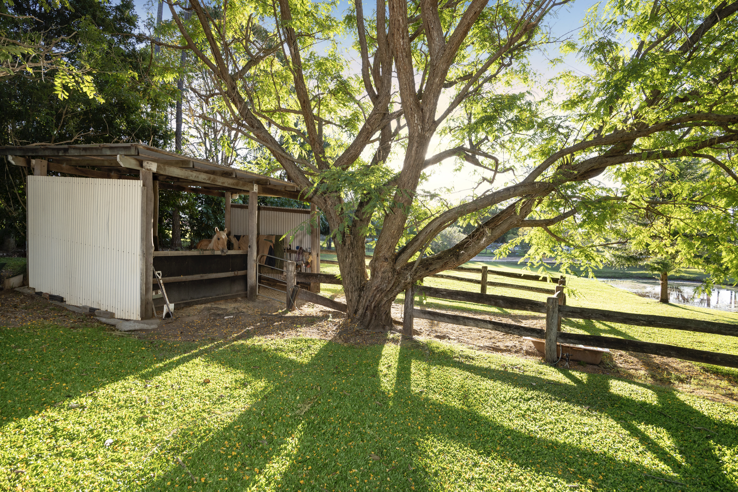 Screen Shot 2023-02-16 at 1.08.42 pm.png