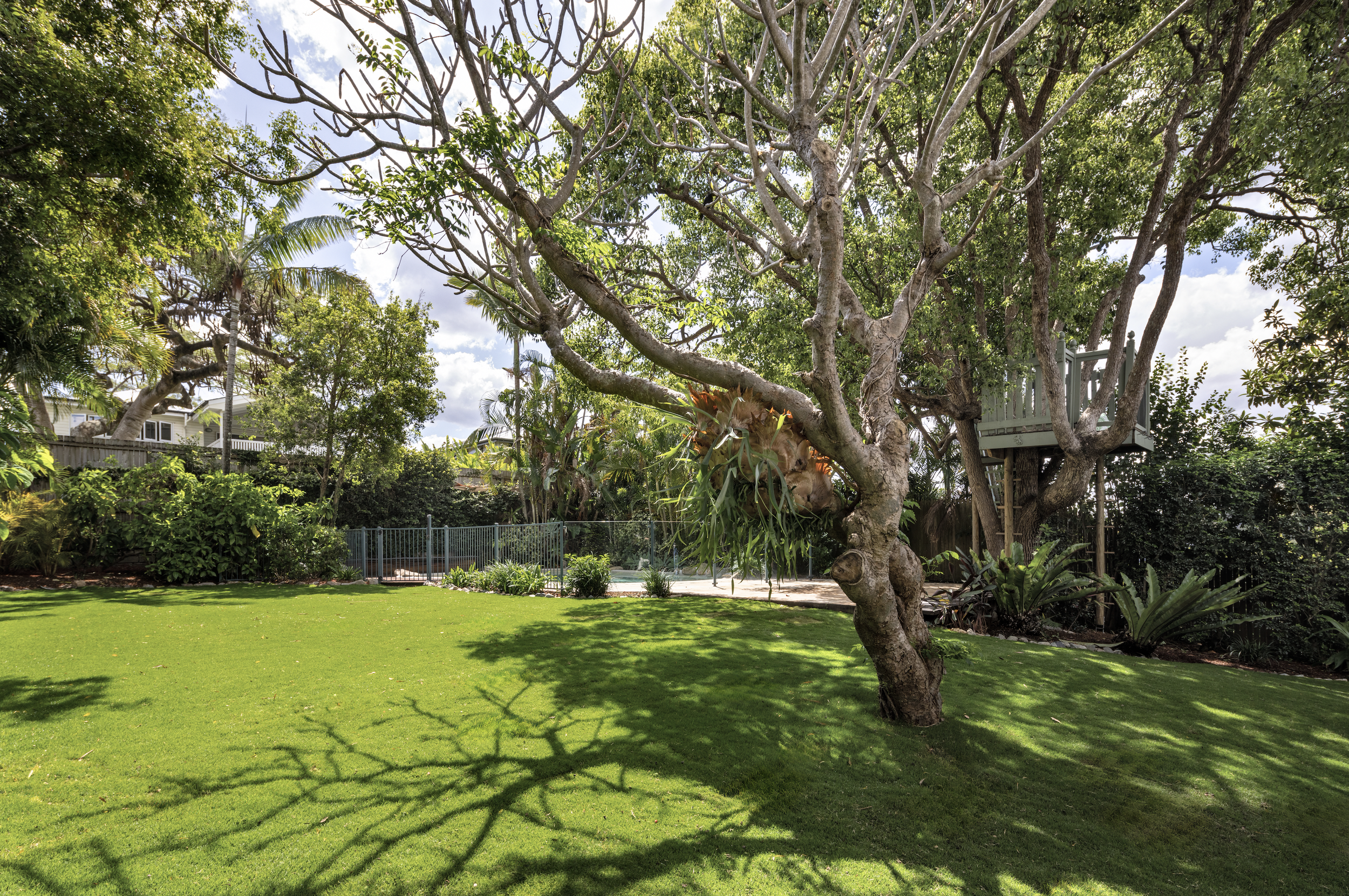 Screen Shot 2024-10-04 at 11.51.29 am.png