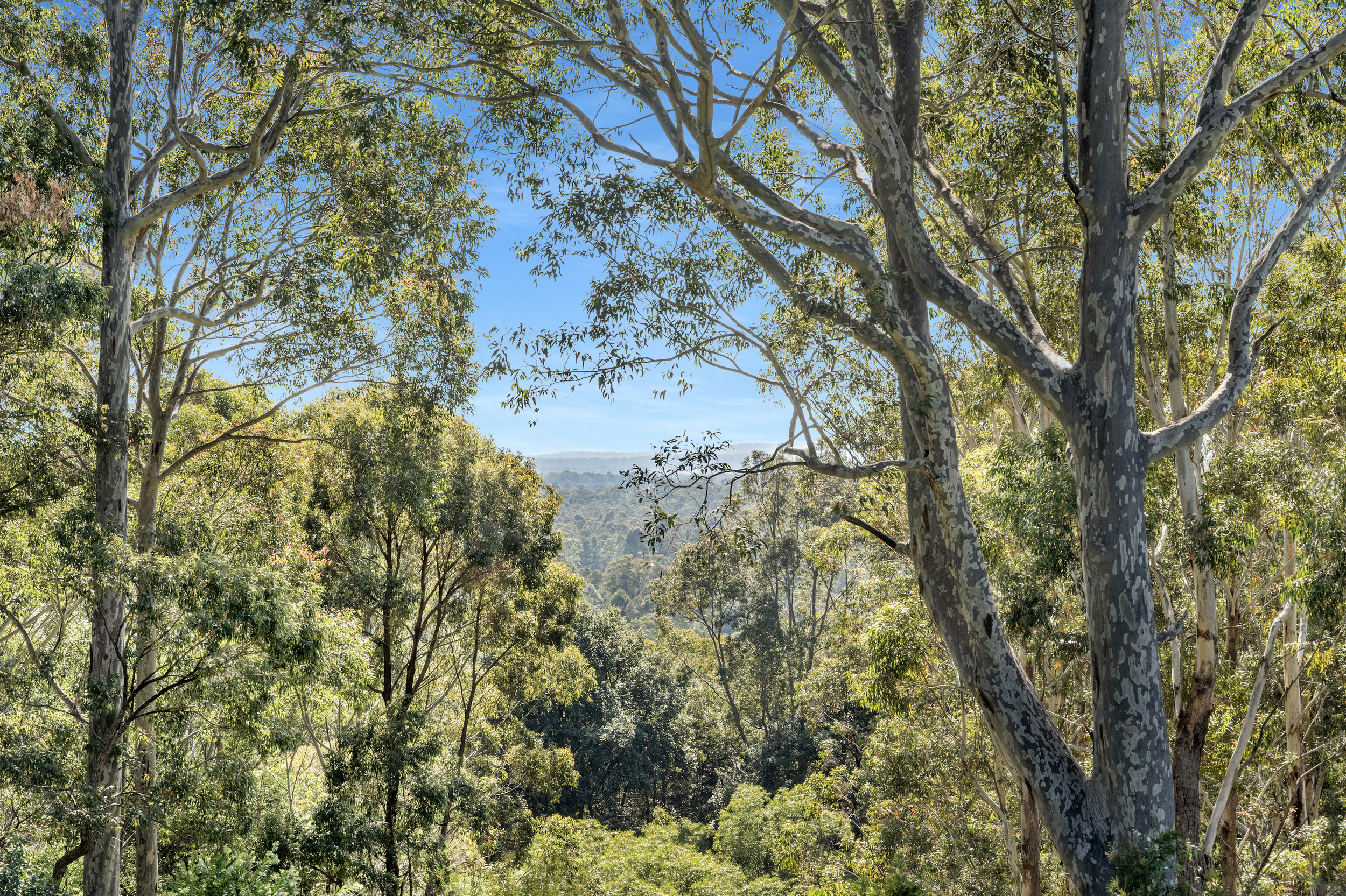 Screen Shot 2023-09-19 at 11.16.05 am.png