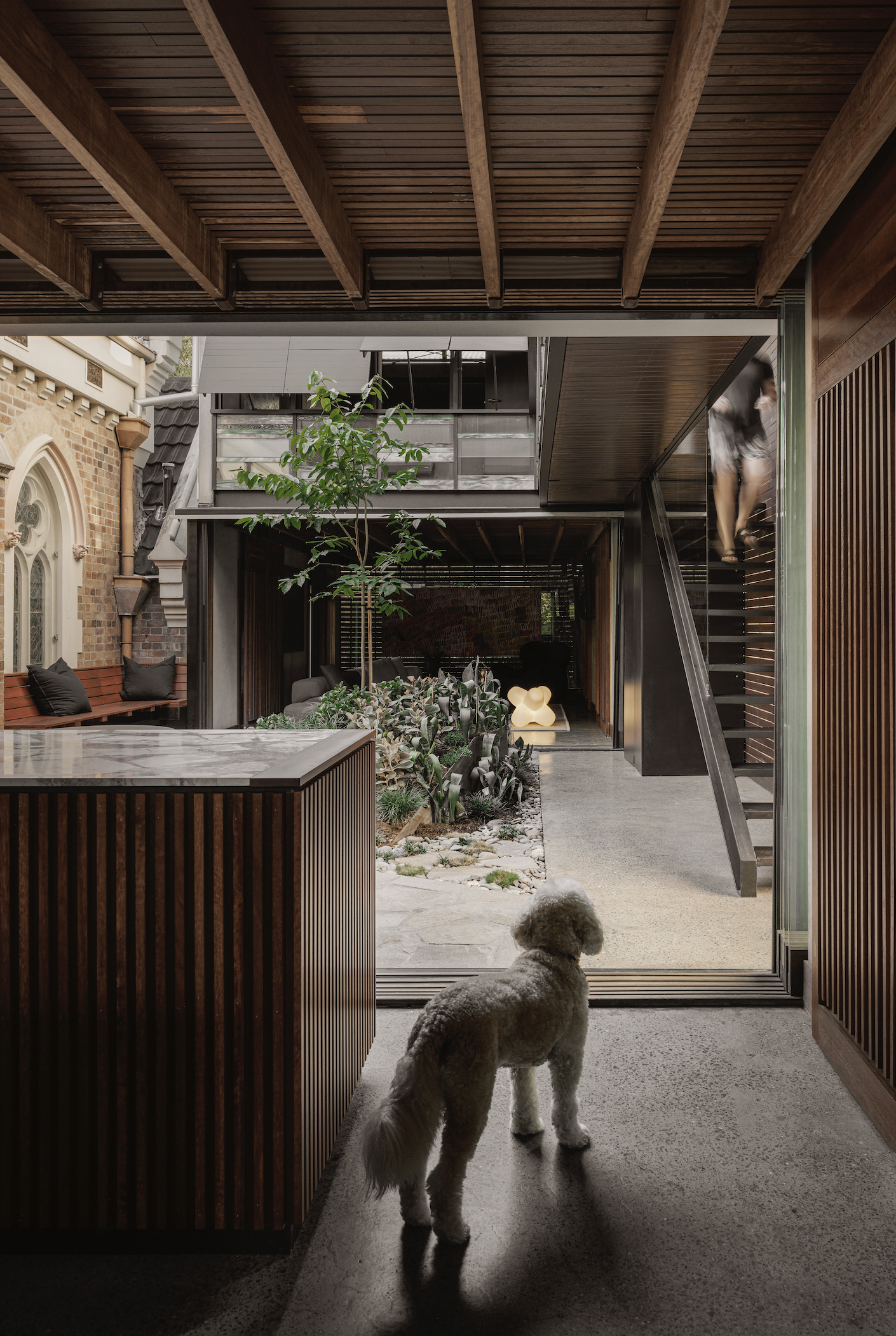 Screen Shot 2023-02-20 at 5.42.34 pm.png