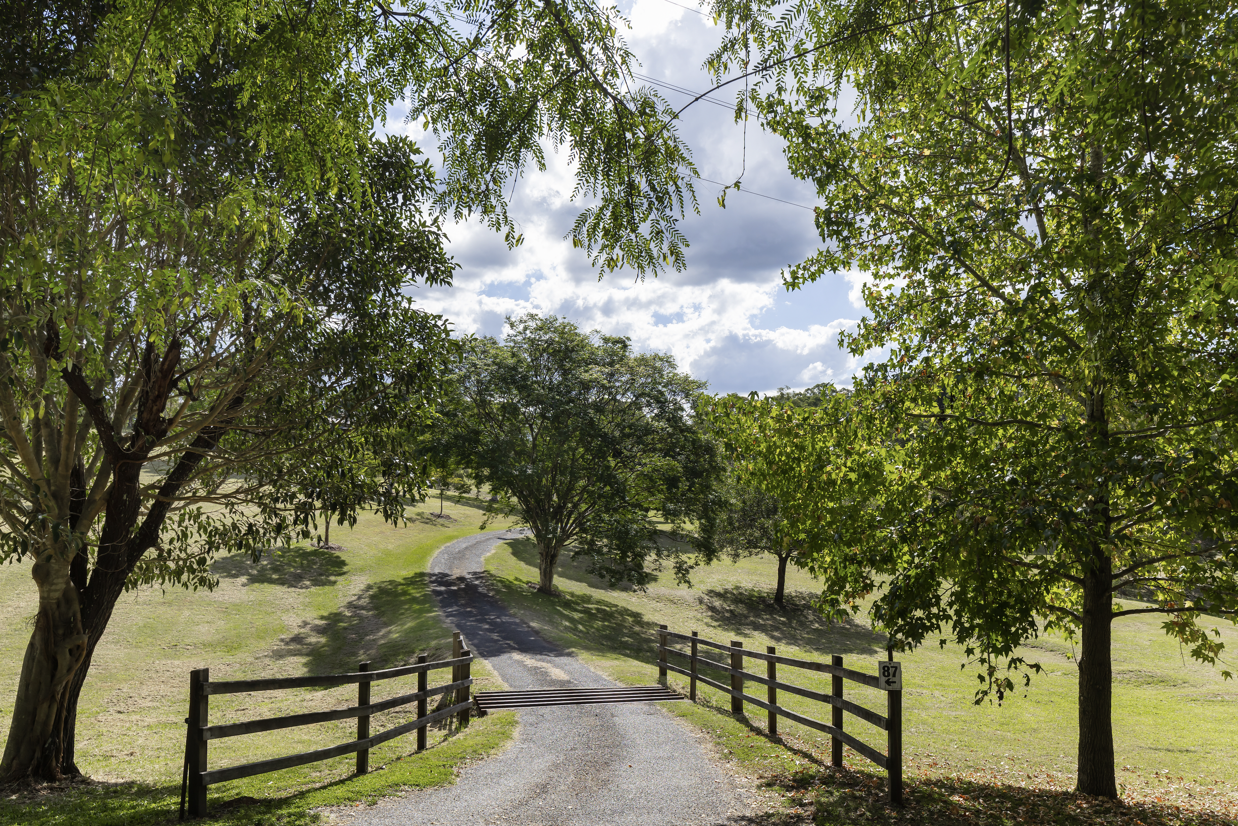 Screen Shot 2023-05-11 at 1.12.01 pm.png