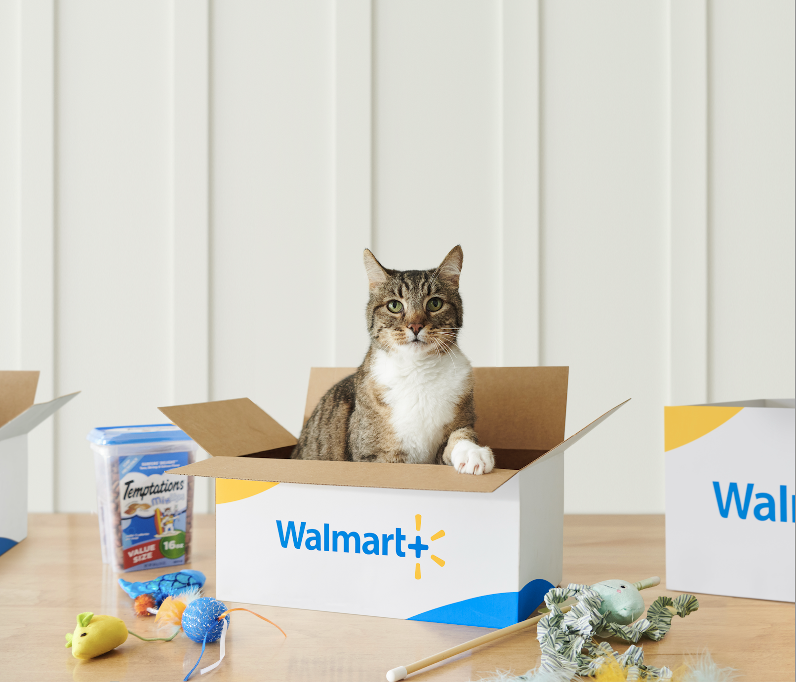 Screenshot 2026-02-04 at 10.15.11 AM.png