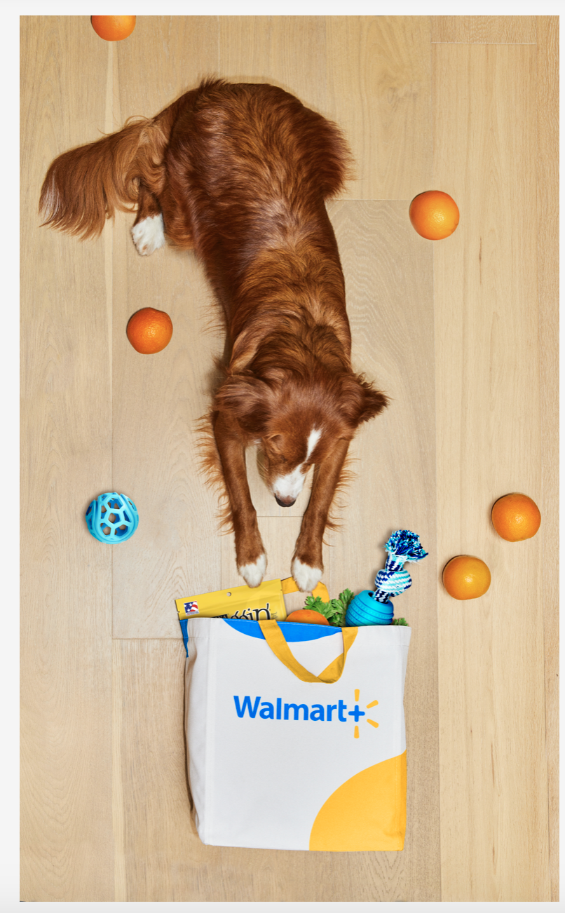 Screen Shot 2022-03-24 at 11.24.20 AM.png