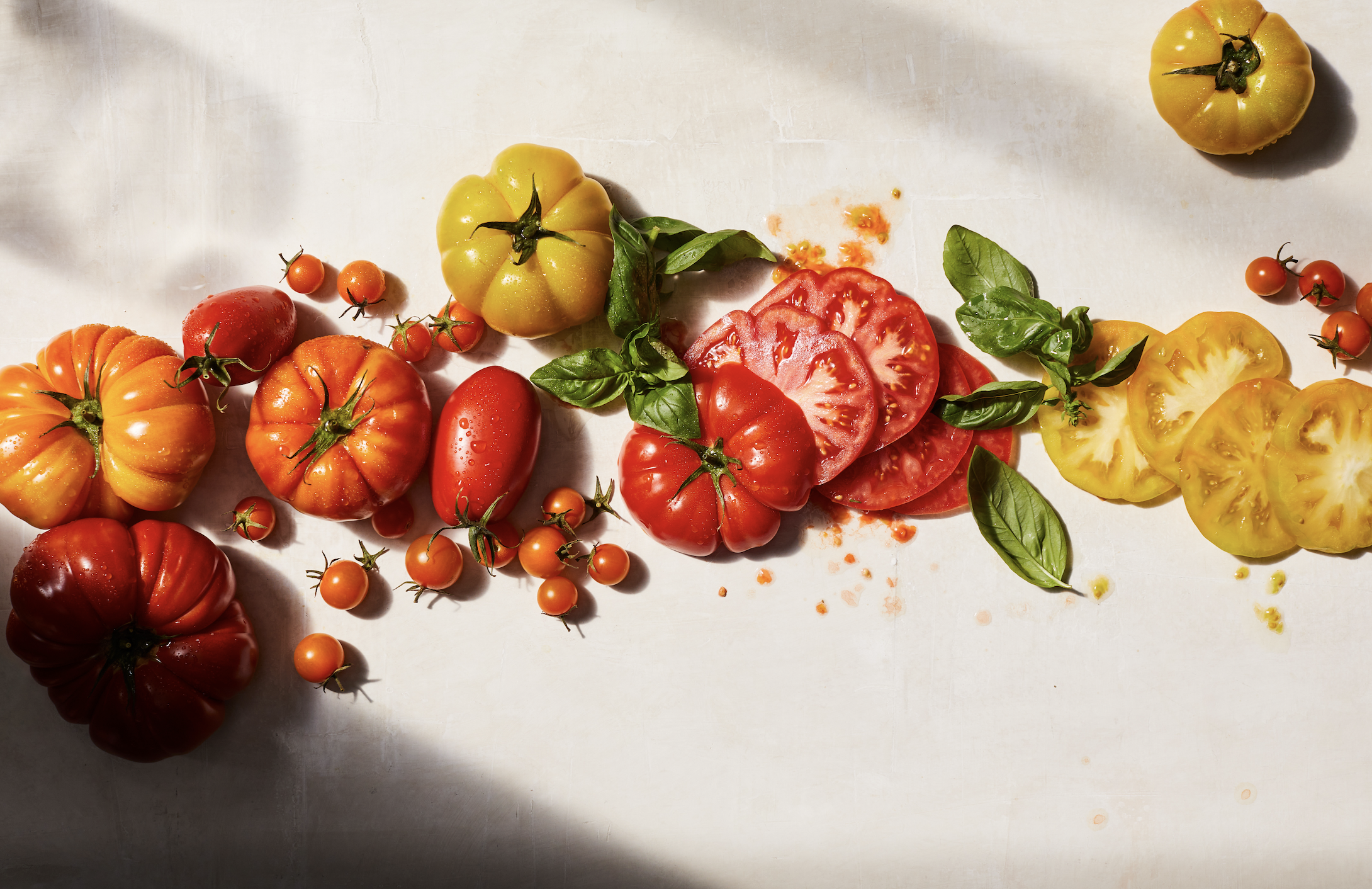 Screenshot 2026-02-04 at 9.36.09 AM.png