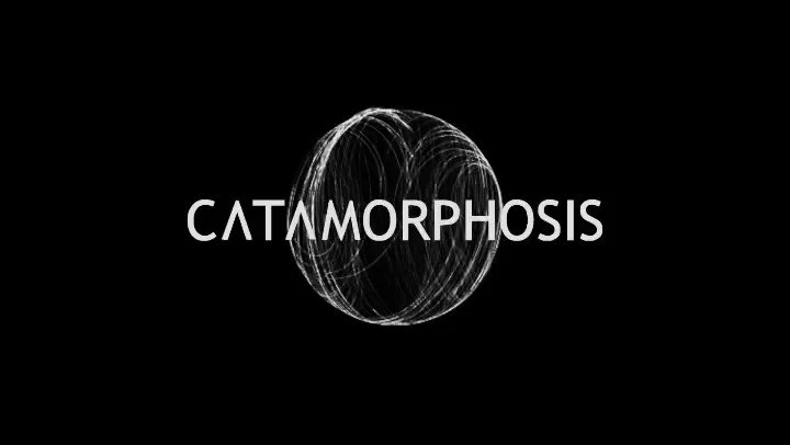 CATAMORPHOSIS is in Helsinki tonight and tomorrow with @helsinkiphilharmonic &amp; @pekkakuusistomusician 🩶  I am there in spirit too 🦄