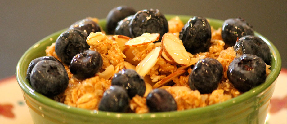 Blueberry Oatmeal Crunch