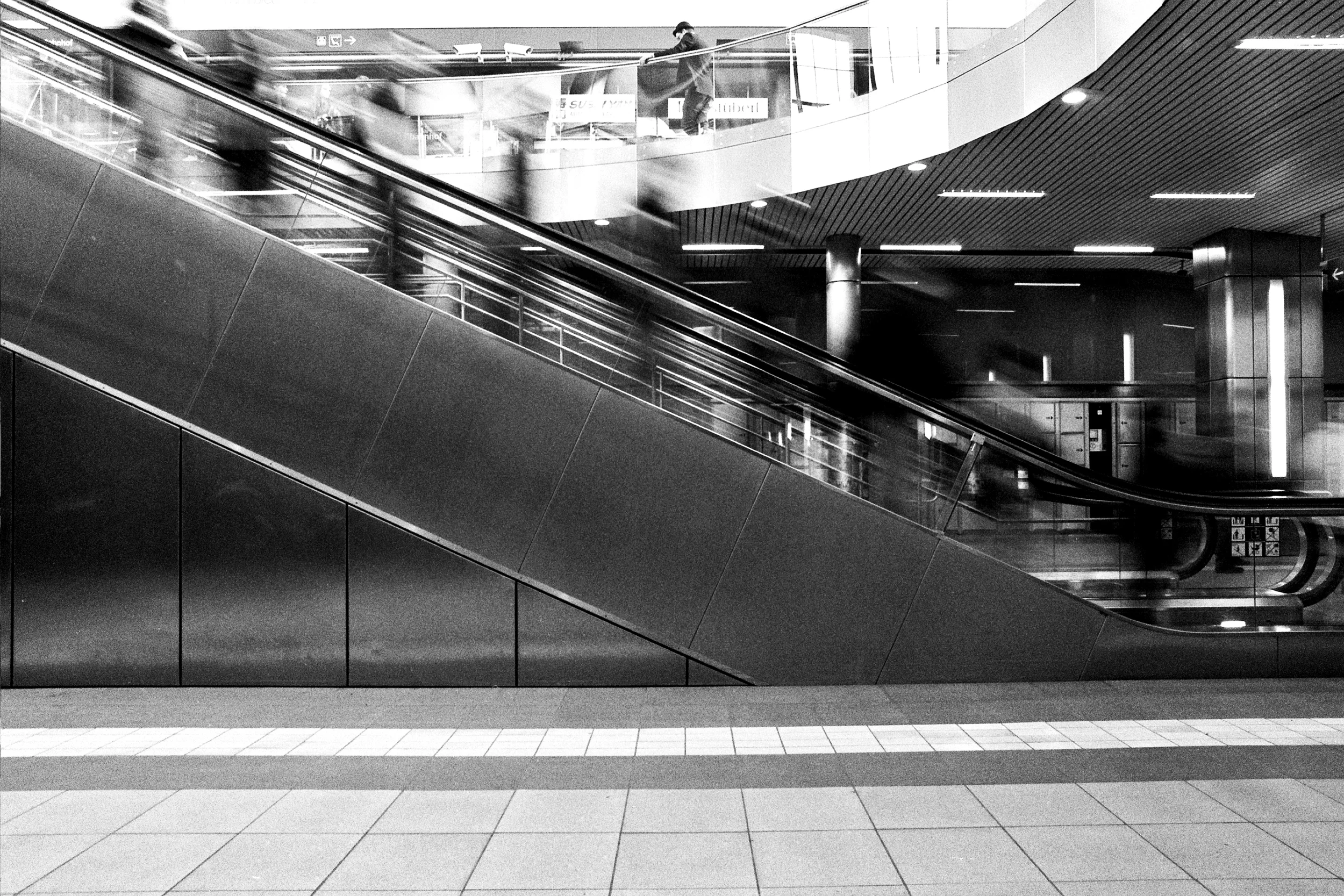 ---_0090 copy.jpg