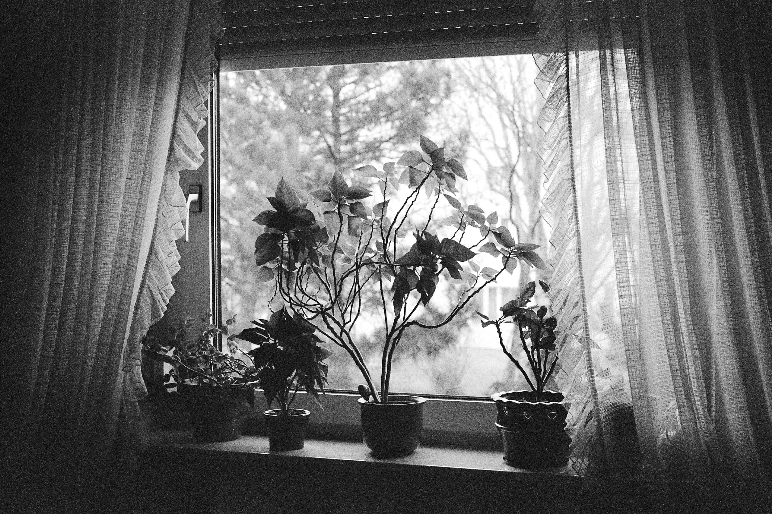 23A_0122.jpg