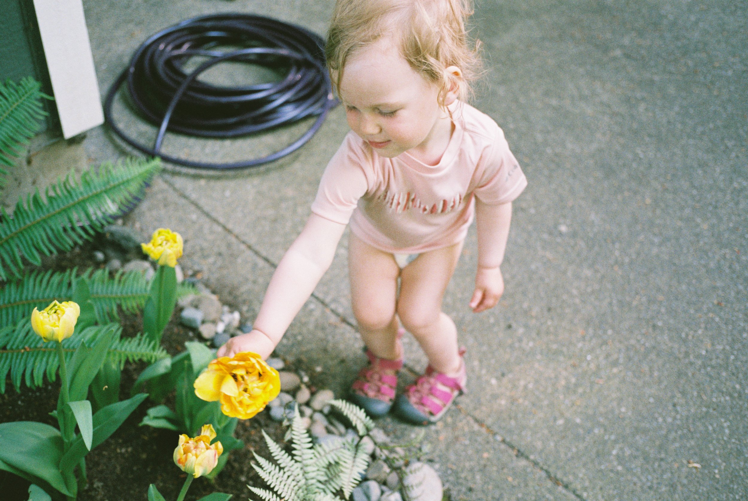 29594_15-242.jpg