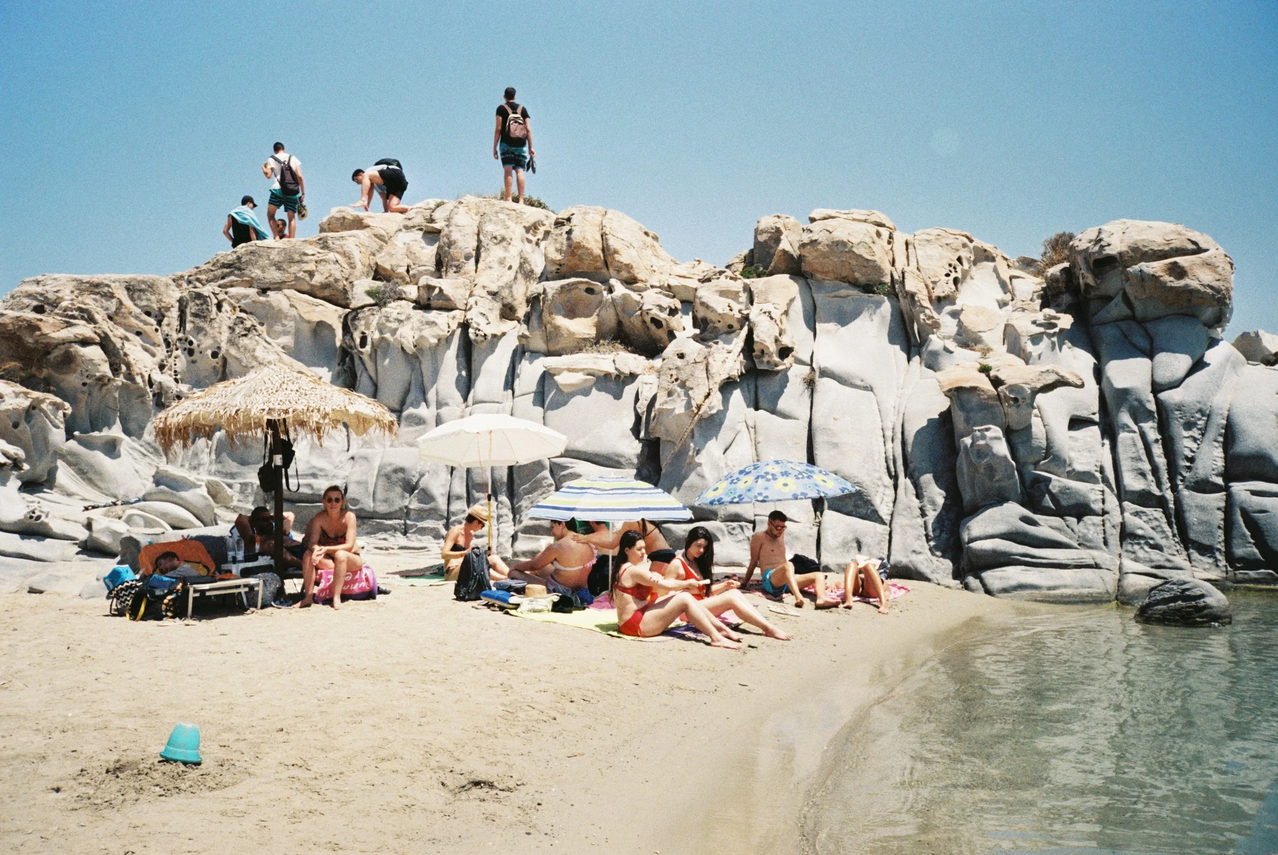 44342_03.jpg