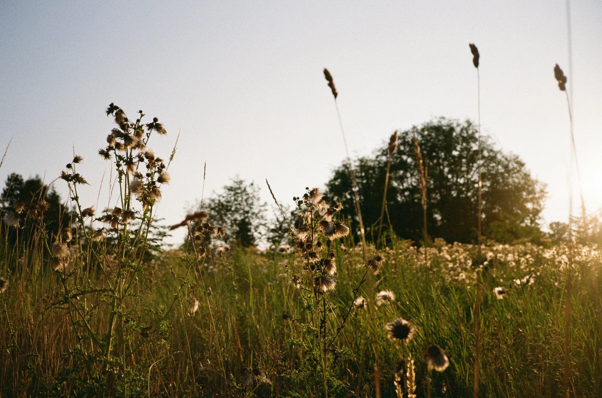 40412_23.jpg