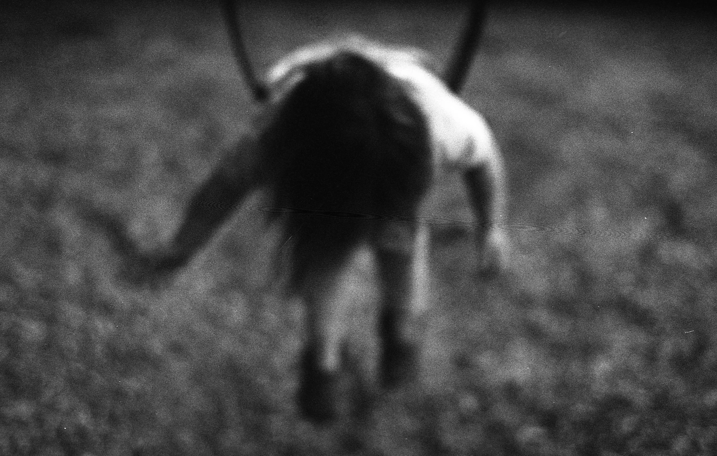 35mm_nealonpark003.jpg