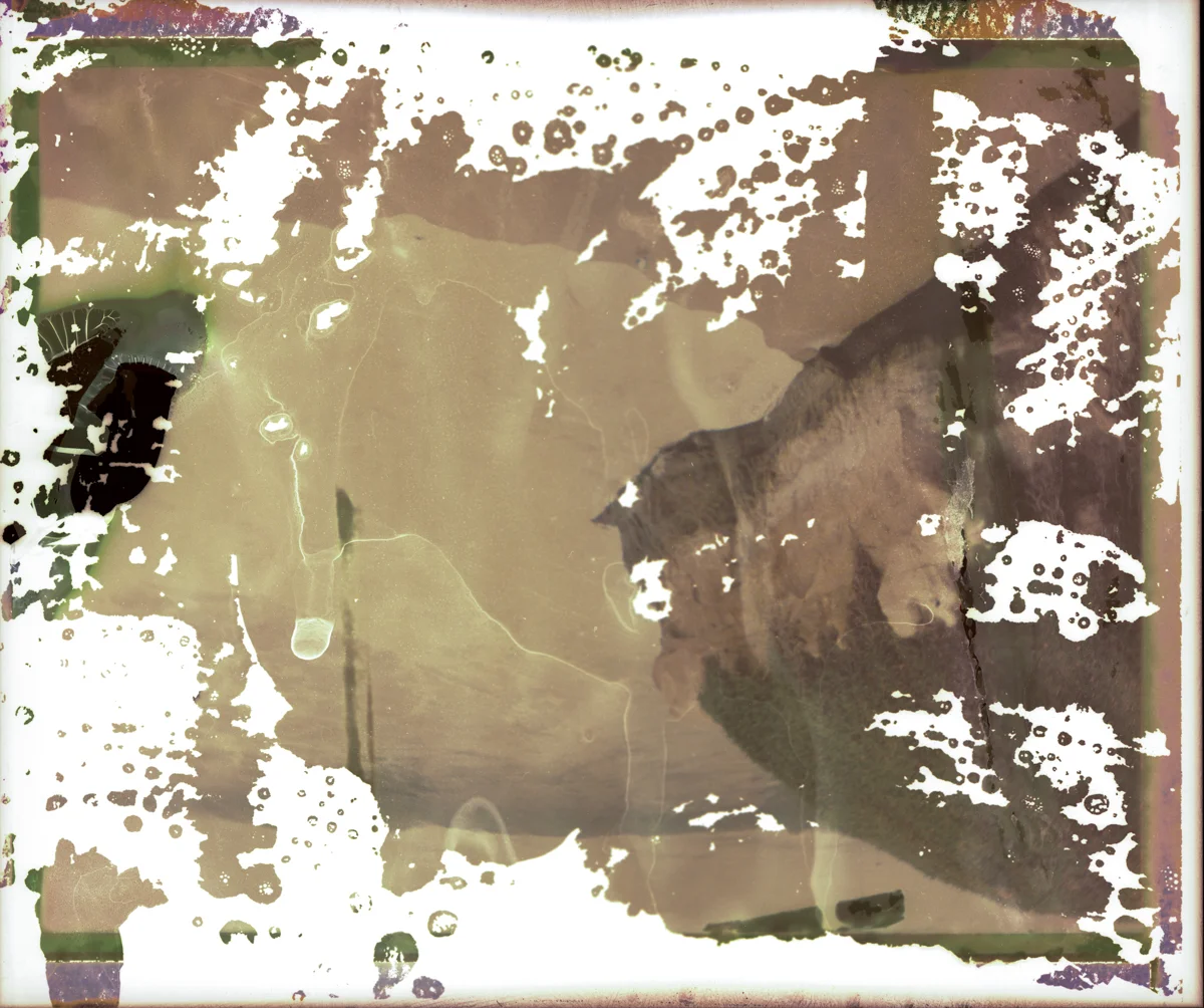fpscans007.jpg