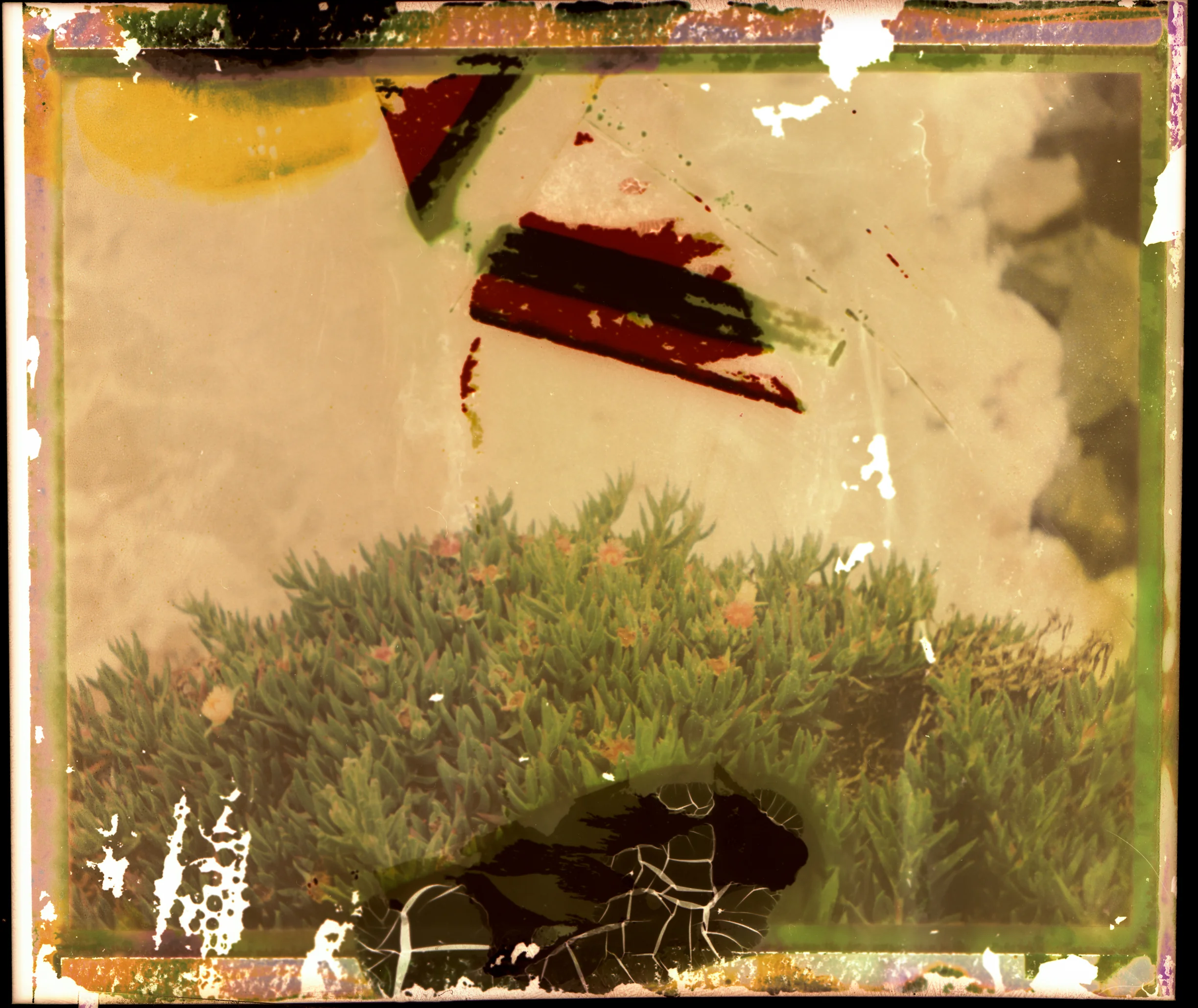 fpscans004.jpg