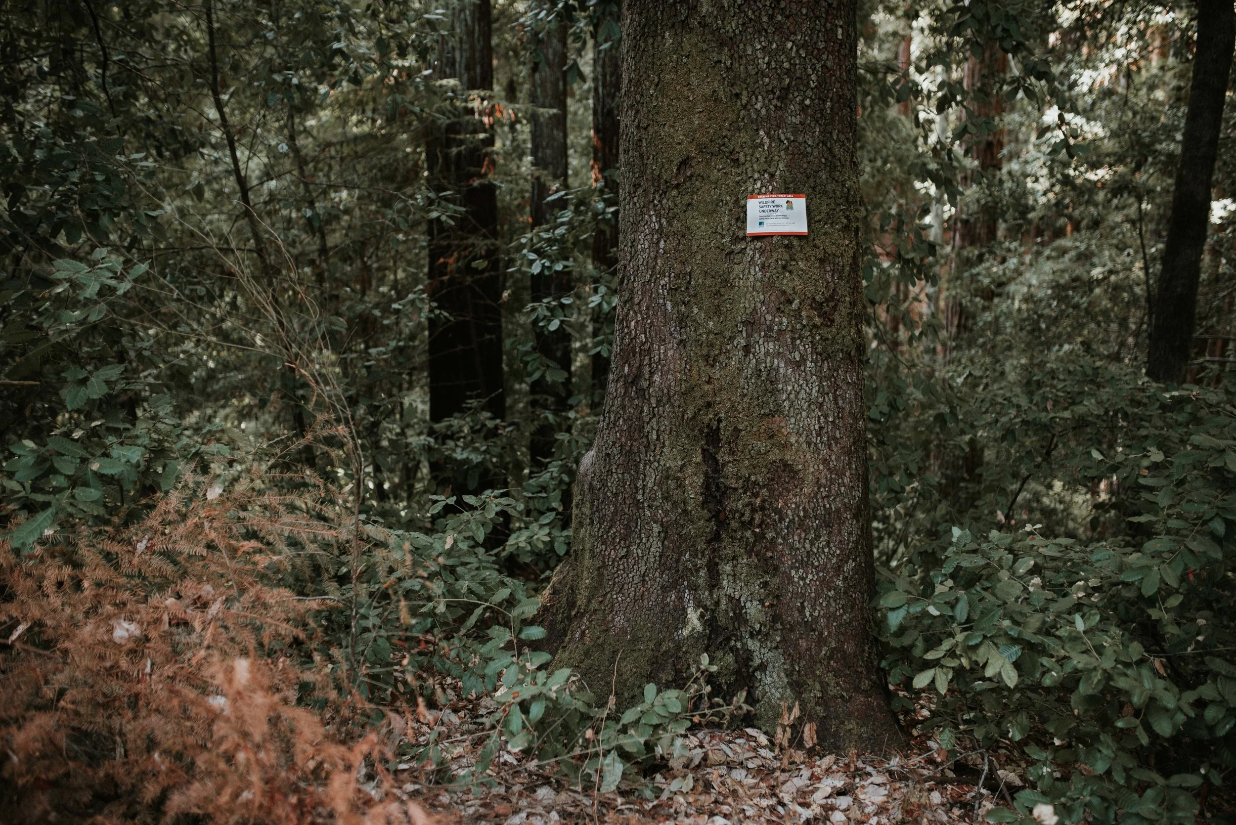 Sign reads “Extreme Fire-Threat Area; Wildfire Safety Work Underway”