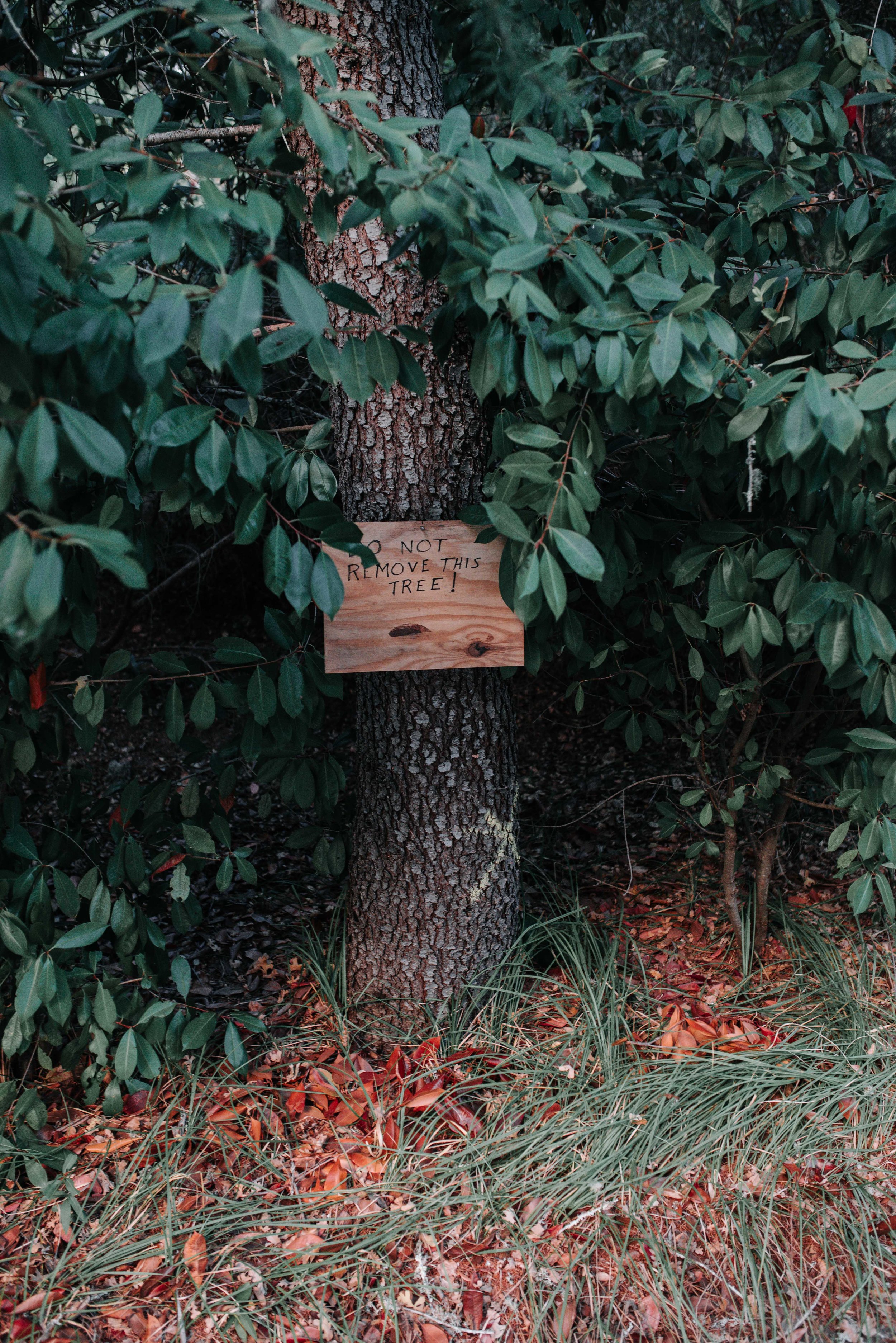  Property owners make their voices known through community meetings and hand-made signs placed upon marked trees. 