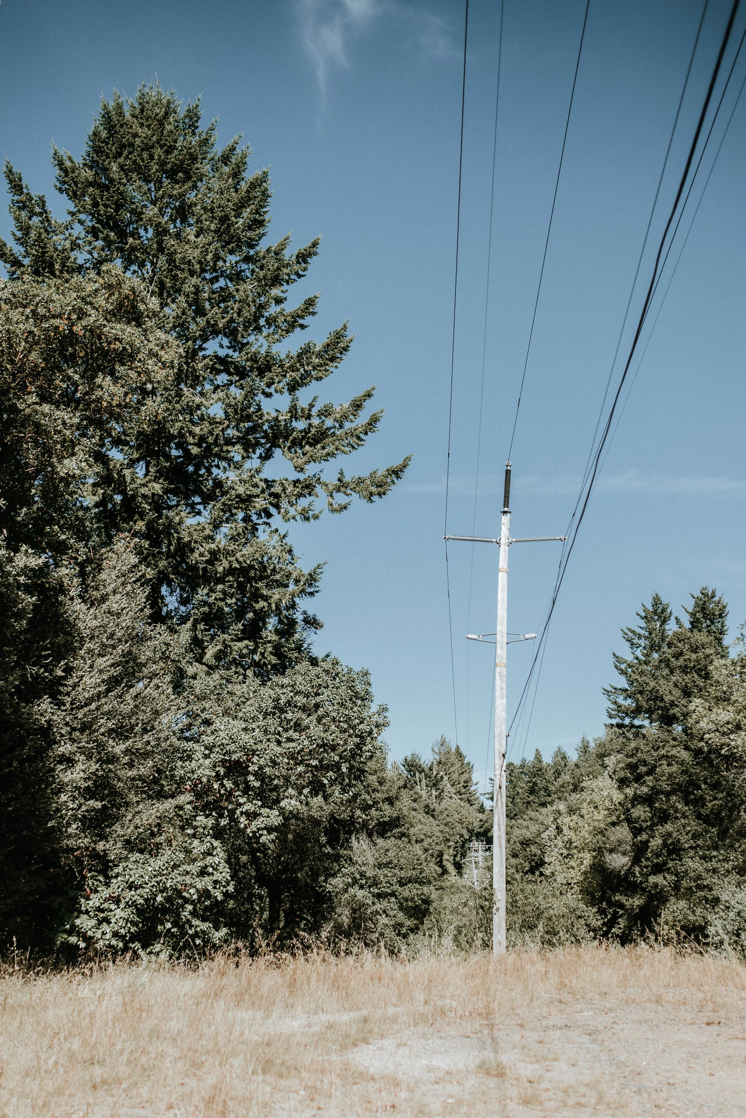 Pacific Gas and Electric has instituted a Community Wildfire Safety Program, with Enhanced Vegetation Work in areas of Extreme Wildfire Threat by reducing vegetation in the area 15 feet from the pole line.