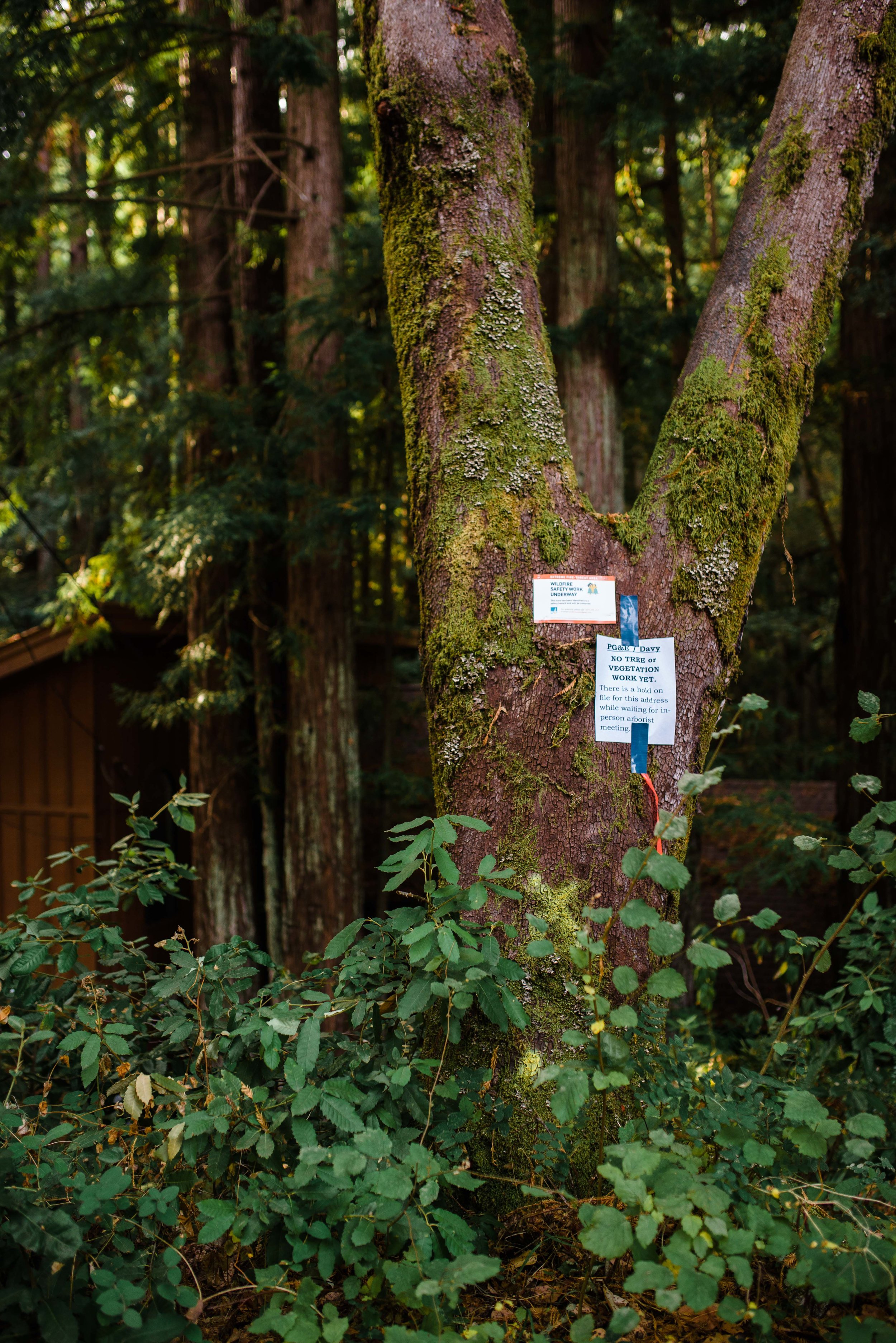  Property owners make their voices known through community meetings and hand-made signs placed upon marked trees. 