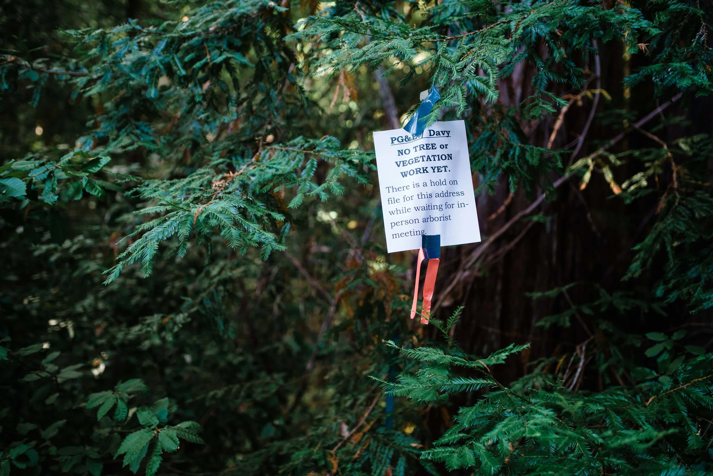 Property owners make their voices known through community meetings and hand-made signs placed upon marked trees.