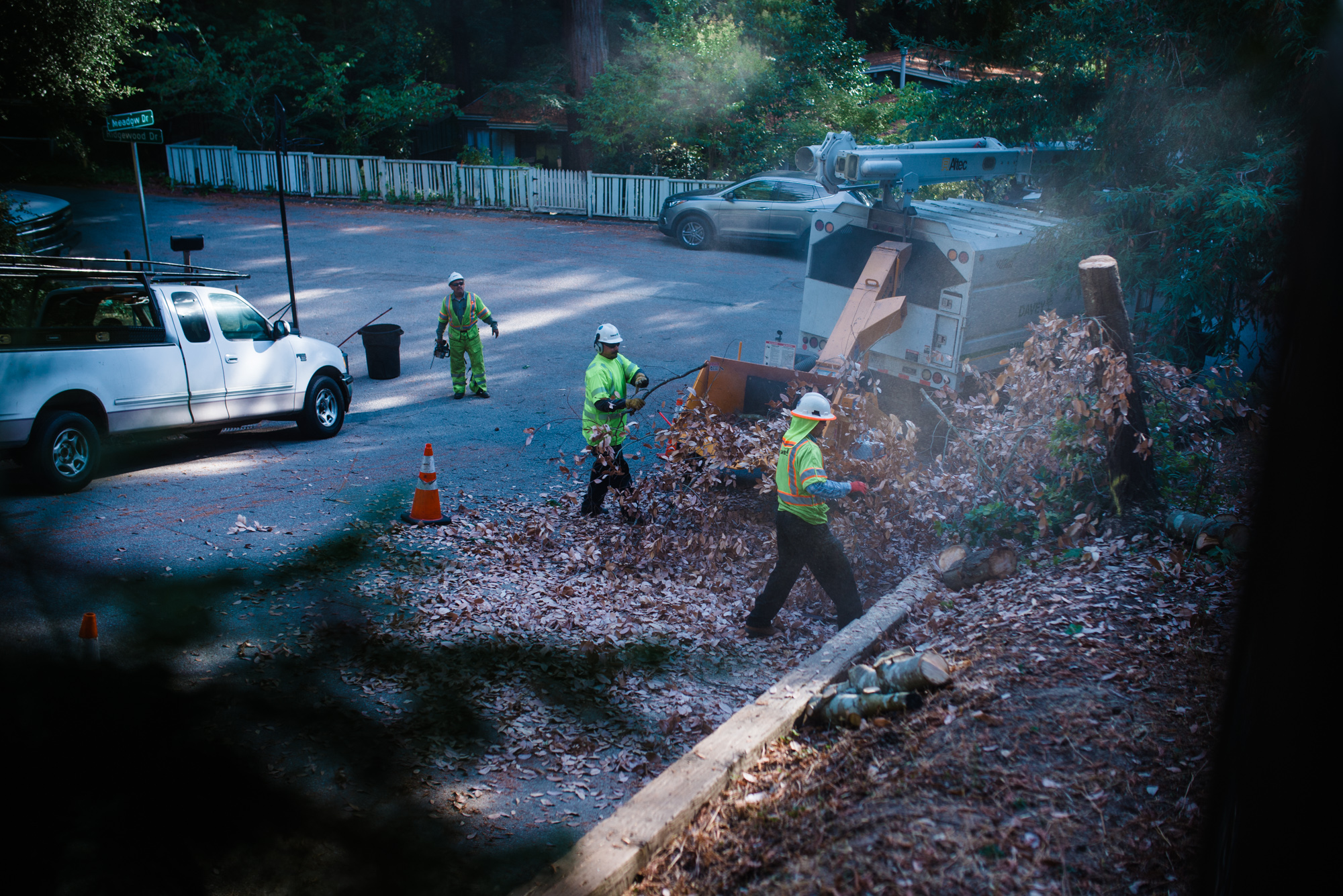  Tree workers remove marked tree in a neighborhood, September 2018. 