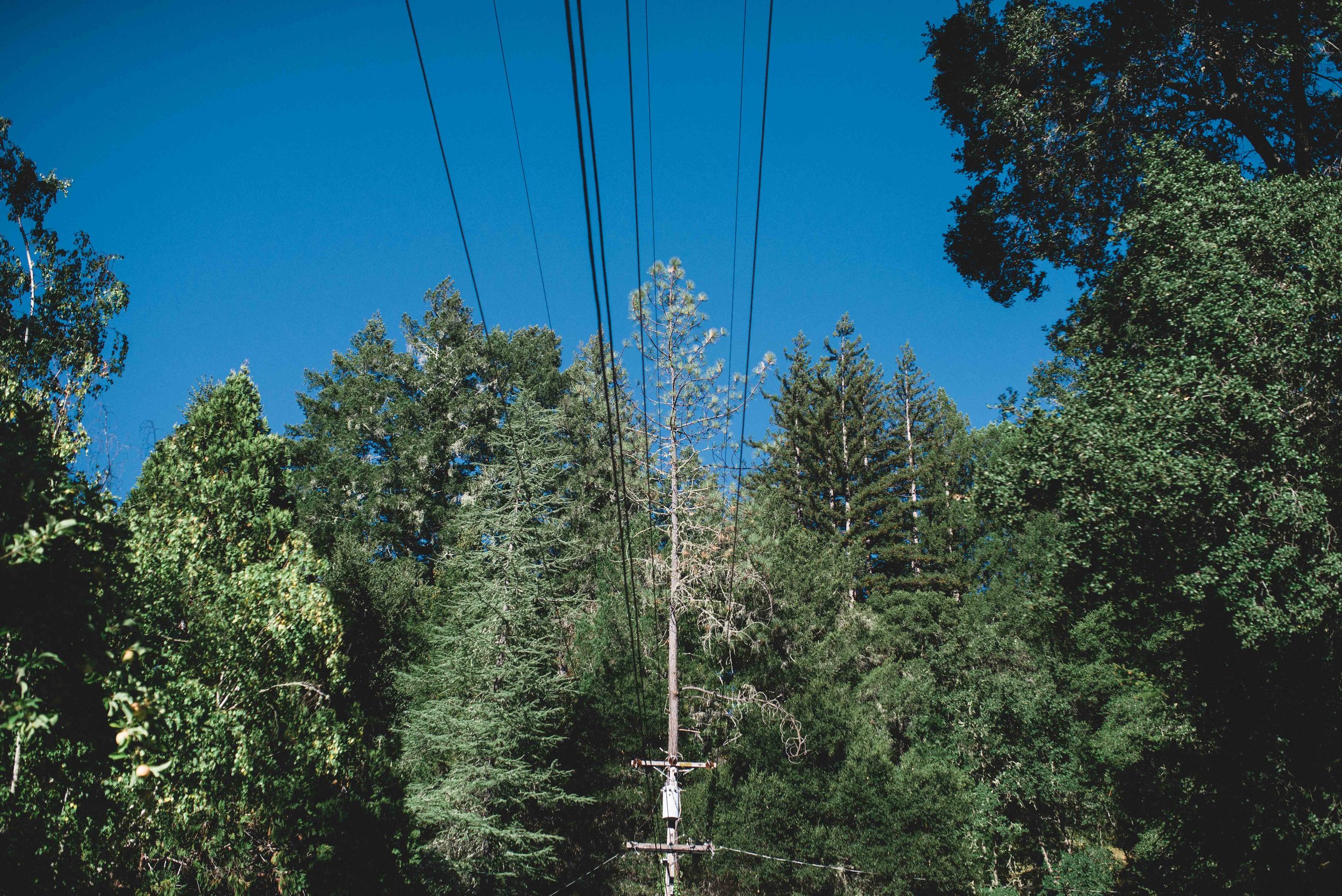  High voltage pole and the trees that surround it in the Santa Cruz Mountains. Pacific Gas and Electric has instituted a Community Wildfire Safety Program, with Enhanced Vegetation Work in areas of Extreme Wildfire Threat by reducing vegetation in th