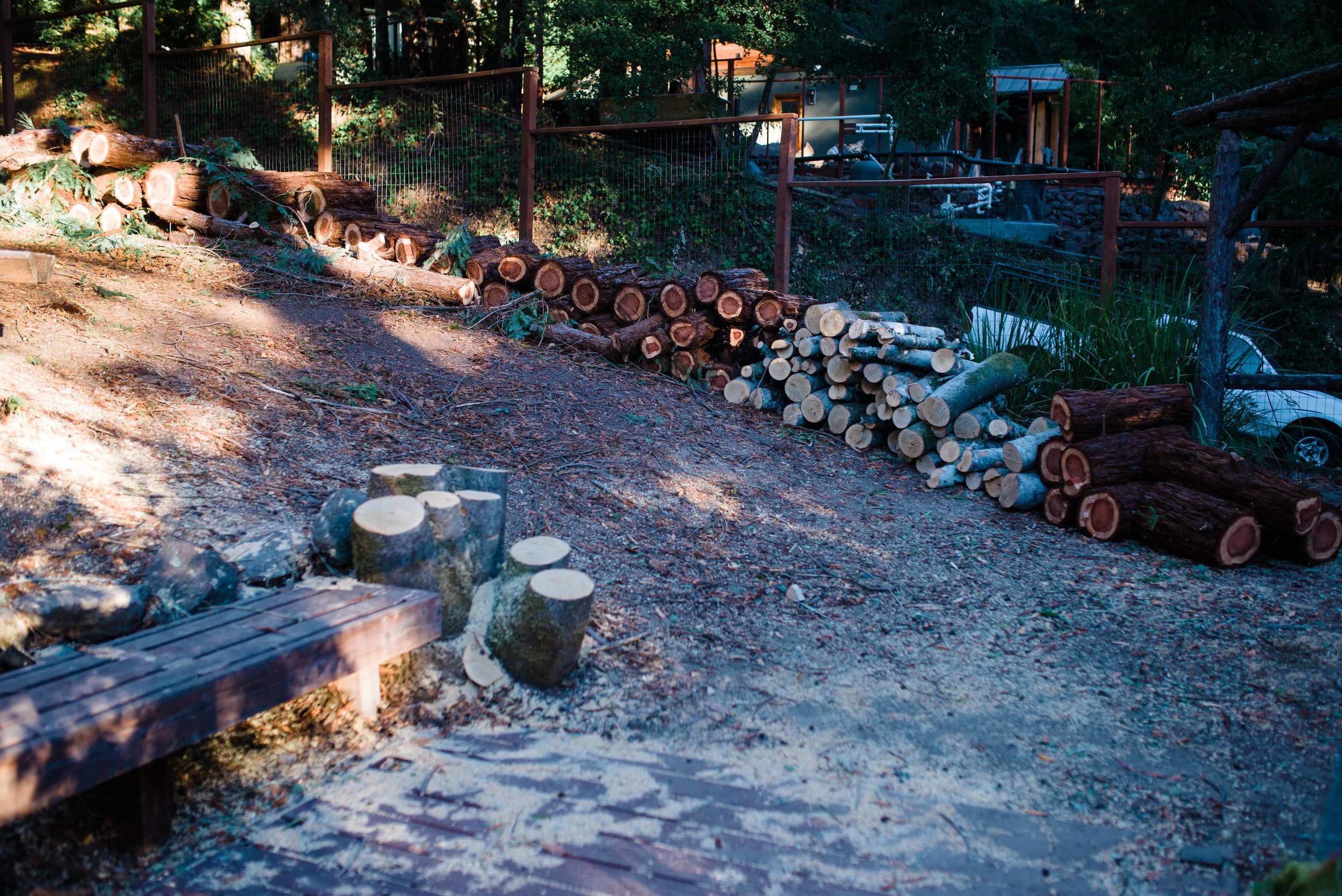  After the cut, the coast redwood and bay laurel tree stacked in a yard. 